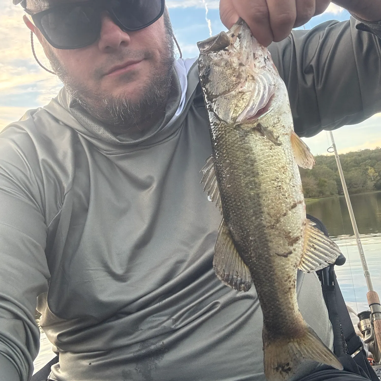 Largemouth bass caught on Fishbrain