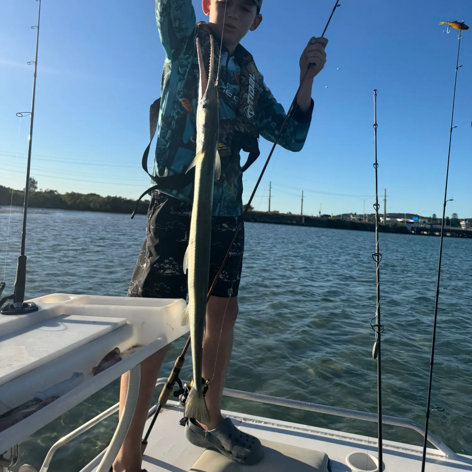 The most recent Southern garfish catches on Fishbrain