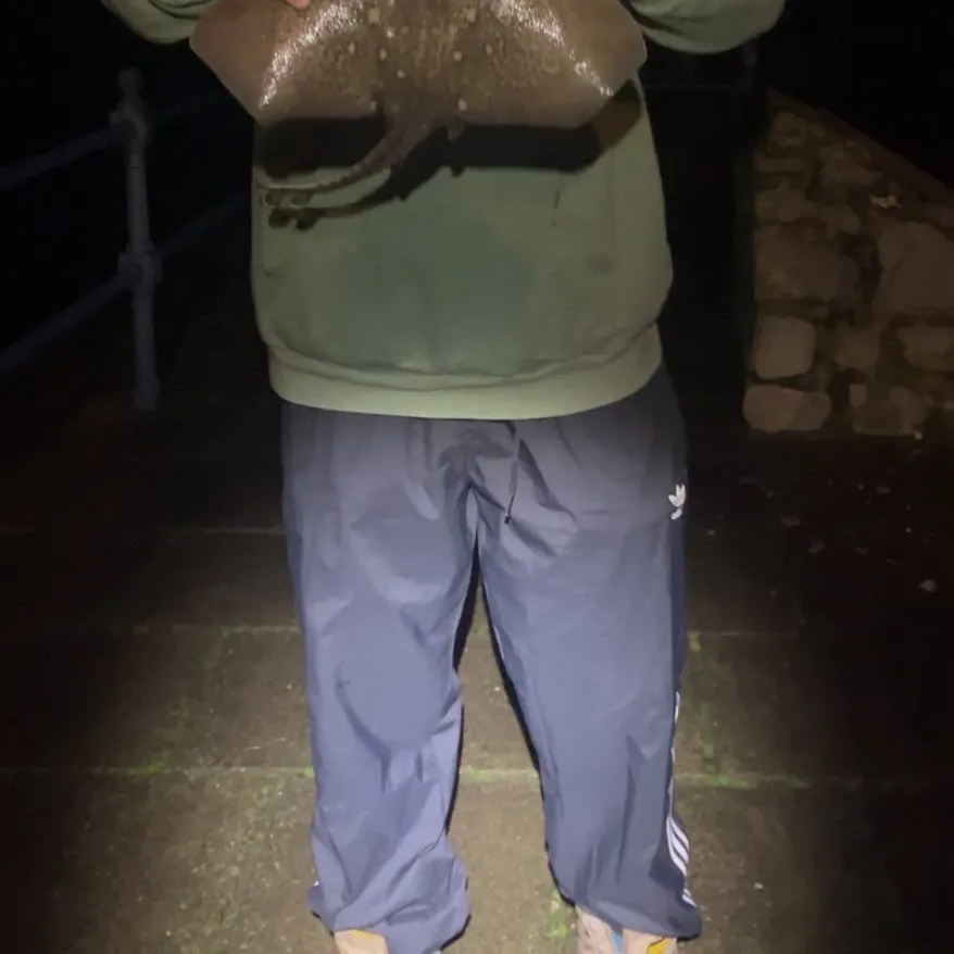 The most recent Thornback ray catches on Fishbrain