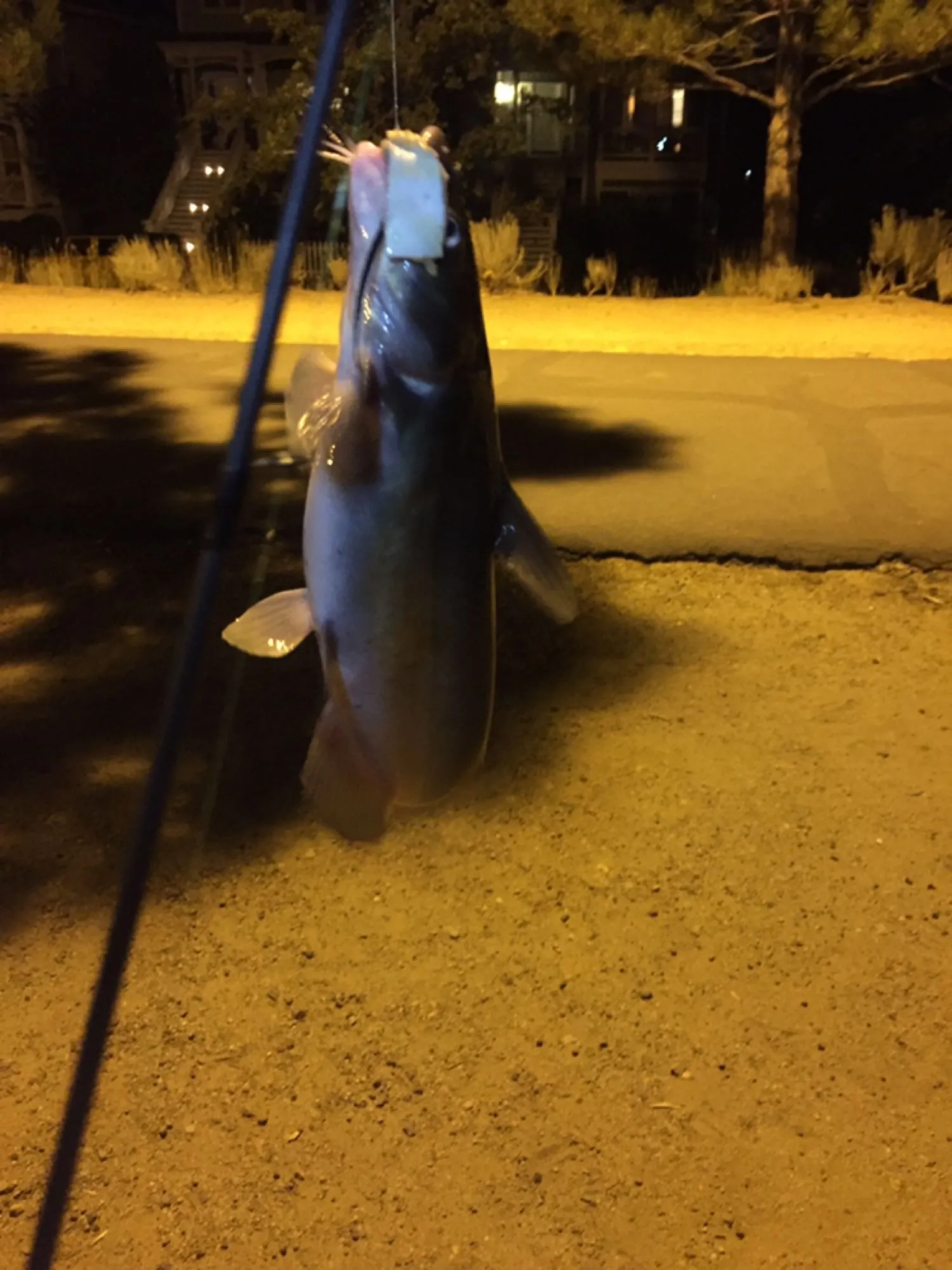 Post image from AgentS19