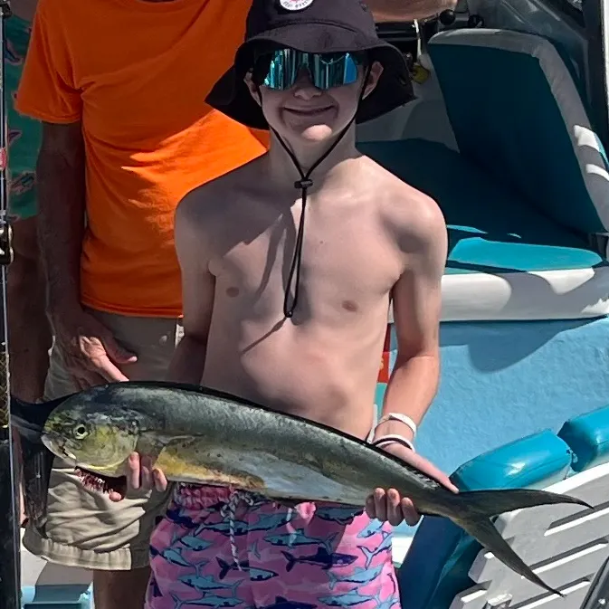 The most recent Common dolphinfish catches on Fishbrain