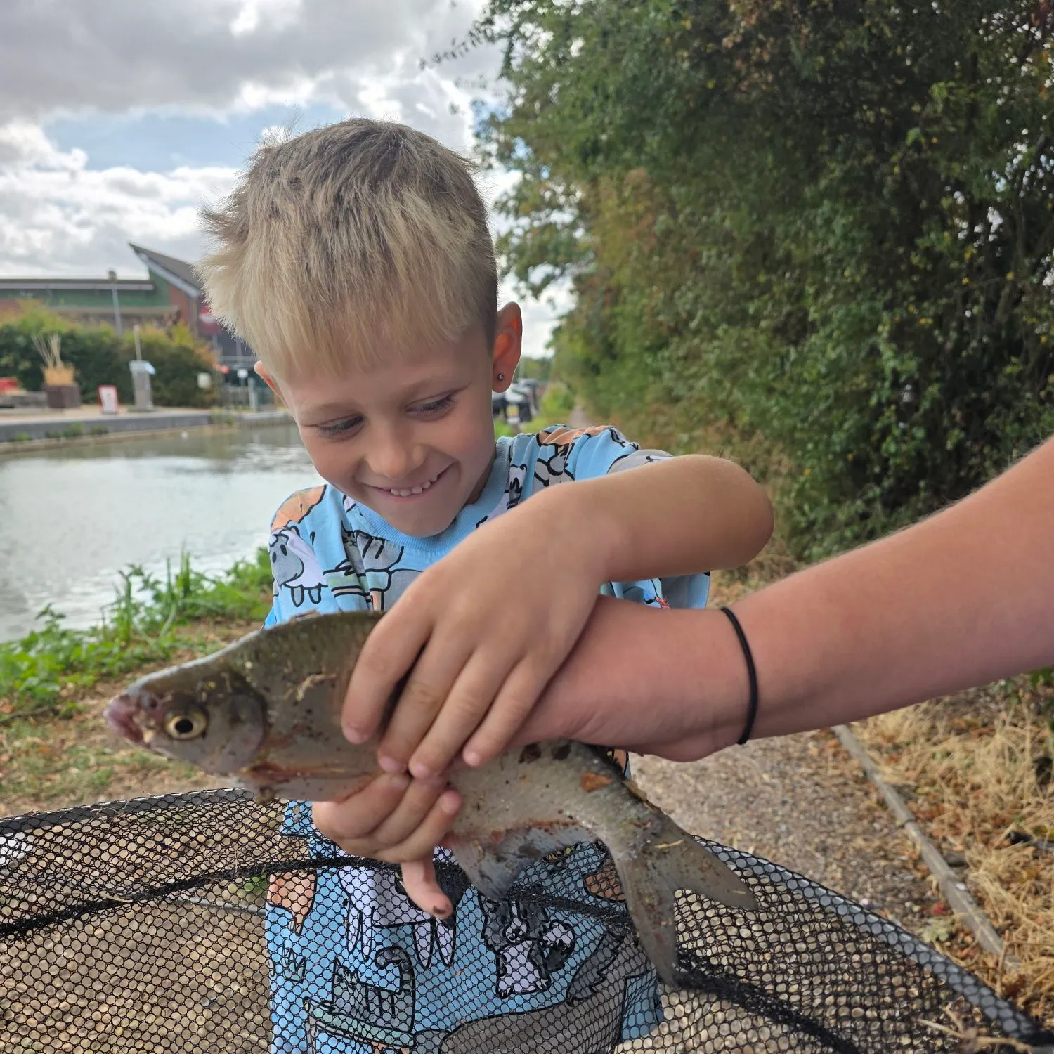 The most recent White bream catches on Fishbrain