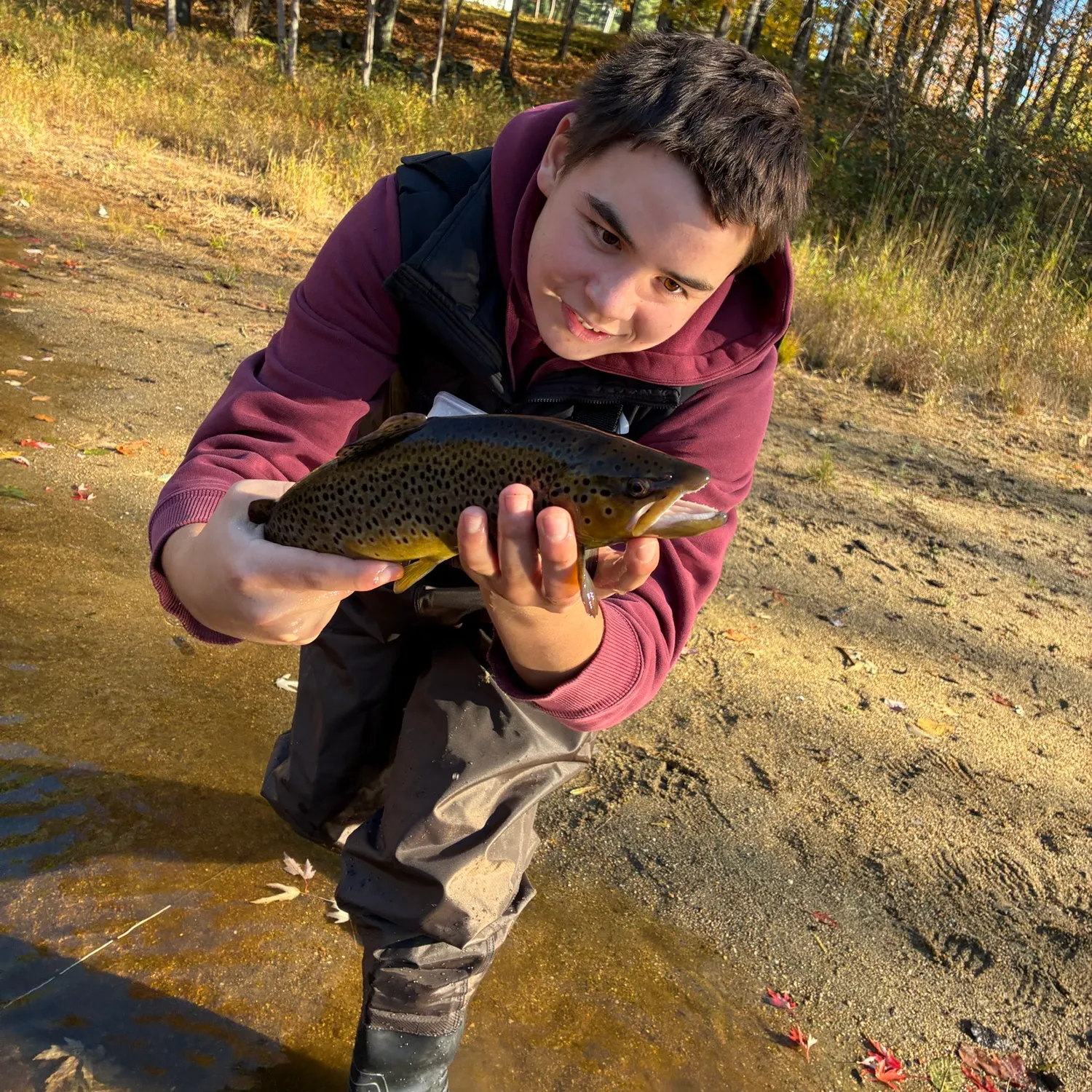 Fish caught on Fishbrain