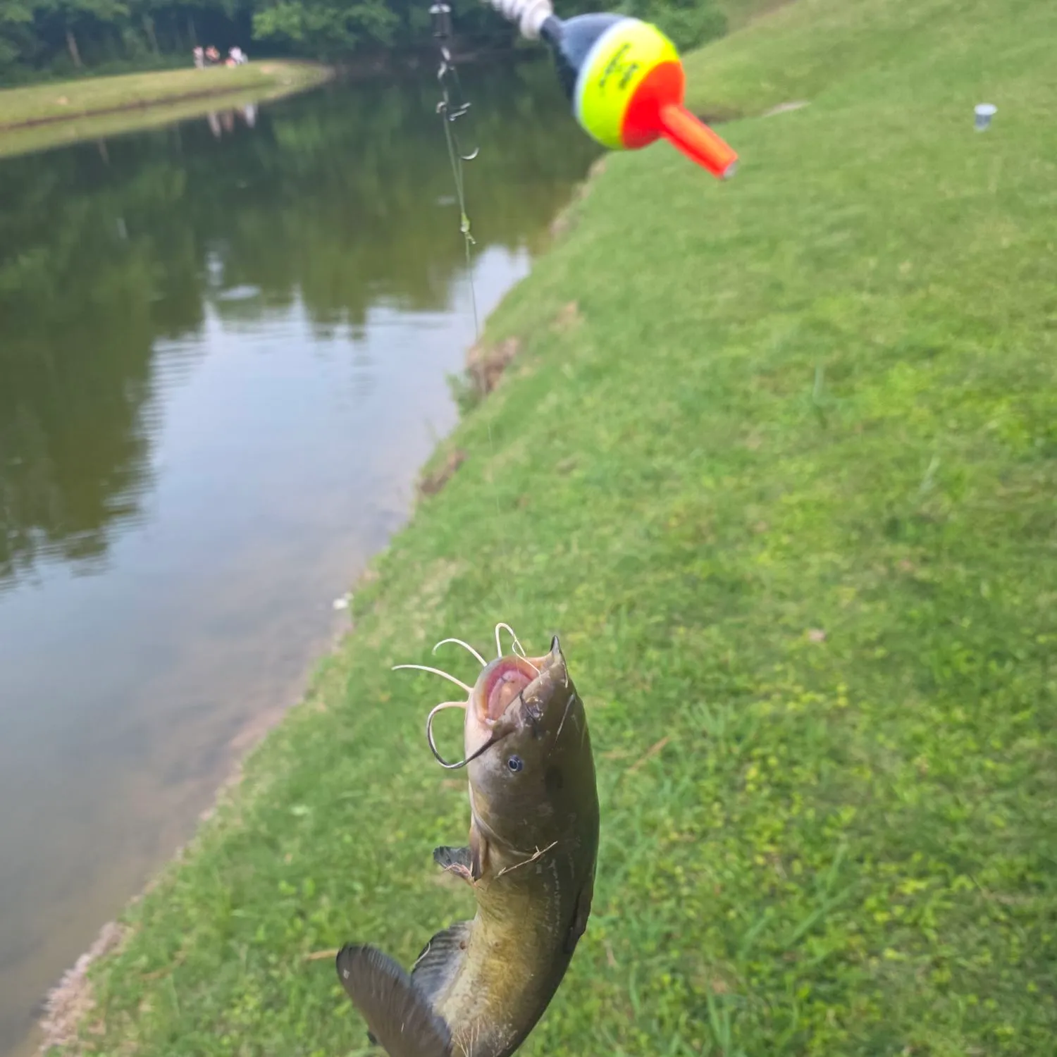 catch
