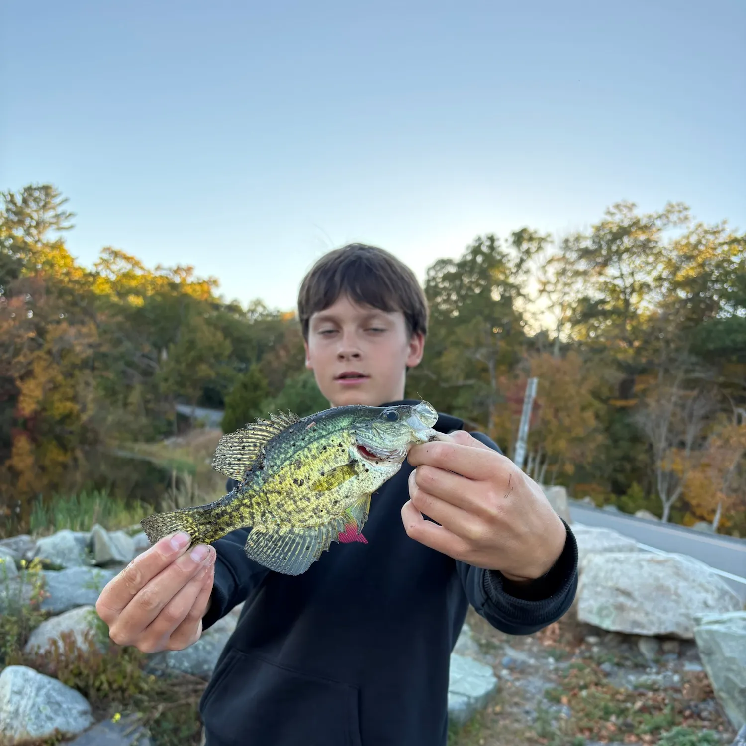 Black crappie caught on Fishbrain