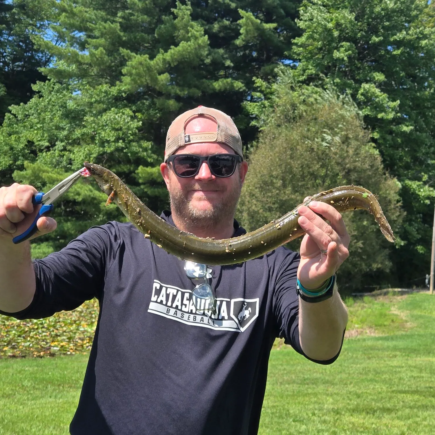 American eel caught on Fishbrain