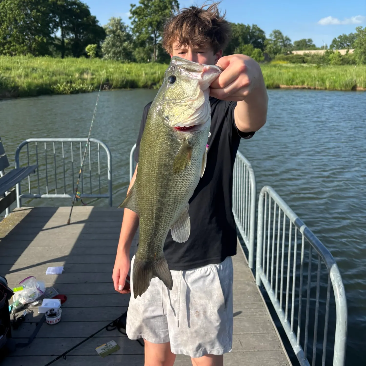 Largemouth bass caught on Fishbrain