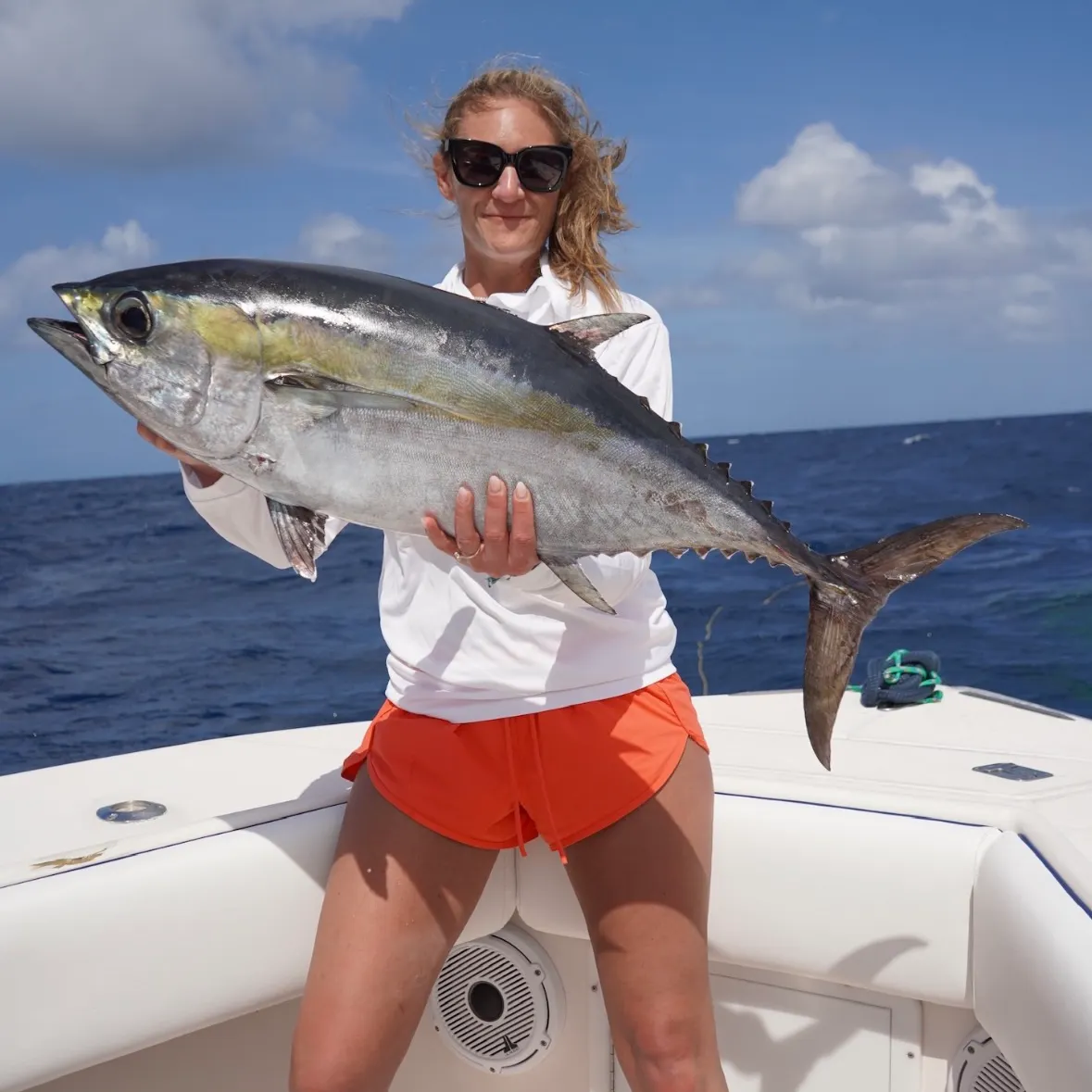 The most recent Blackfin tuna catches on Fishbrain