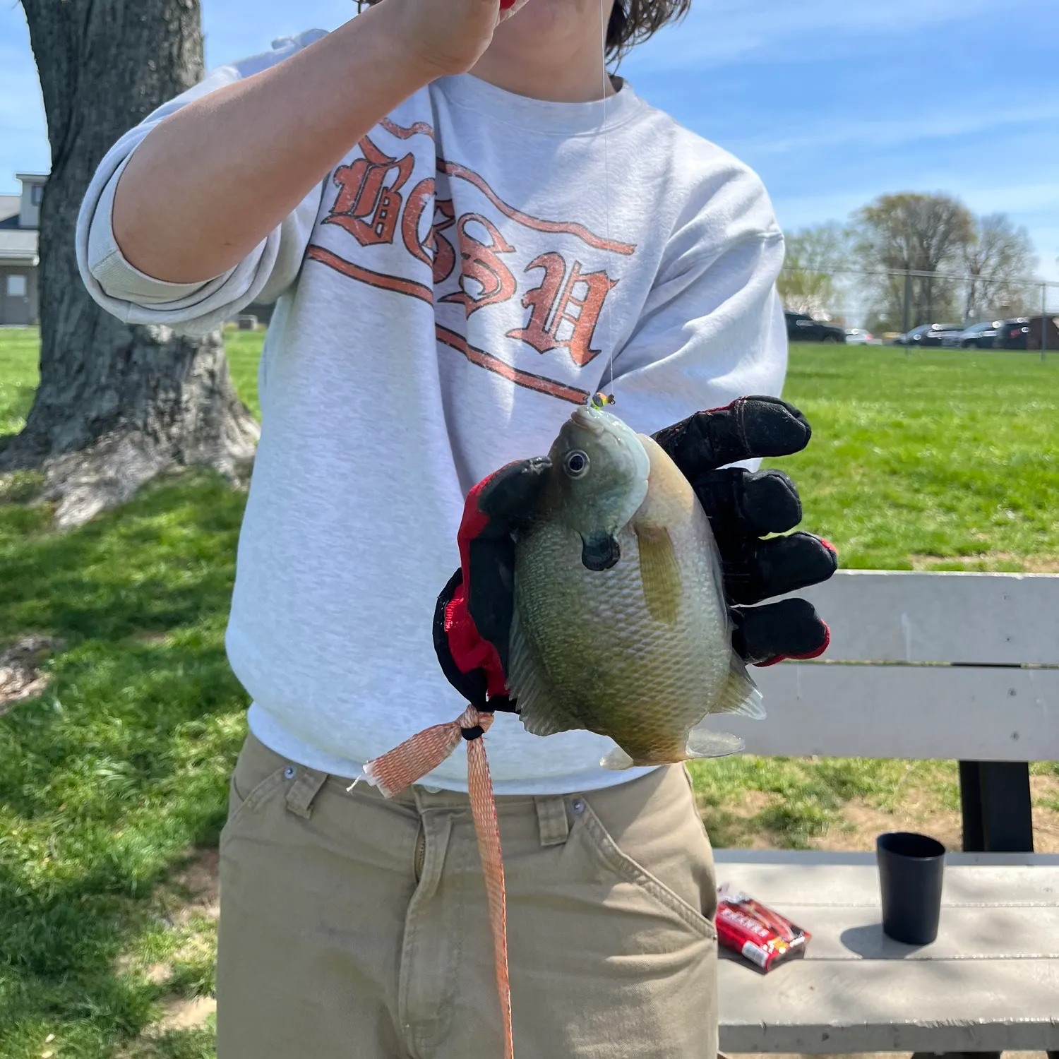 catch