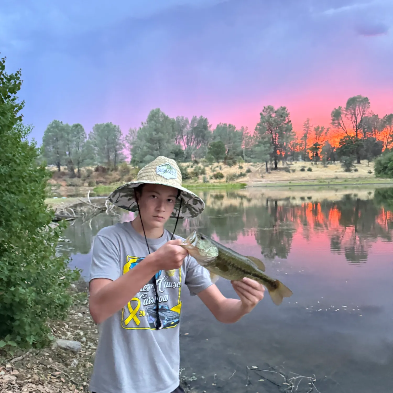 The most recent Spotted bass catches on Fishbrain