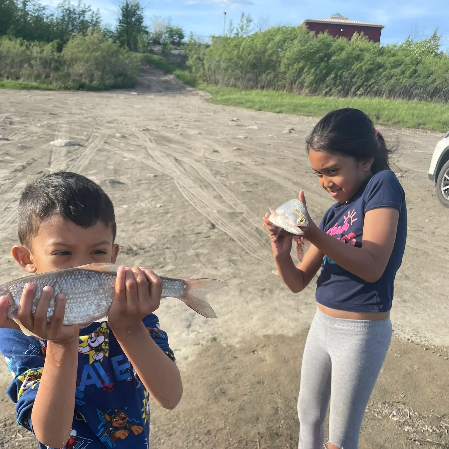 The most recent Mooneye catches on Fishbrain