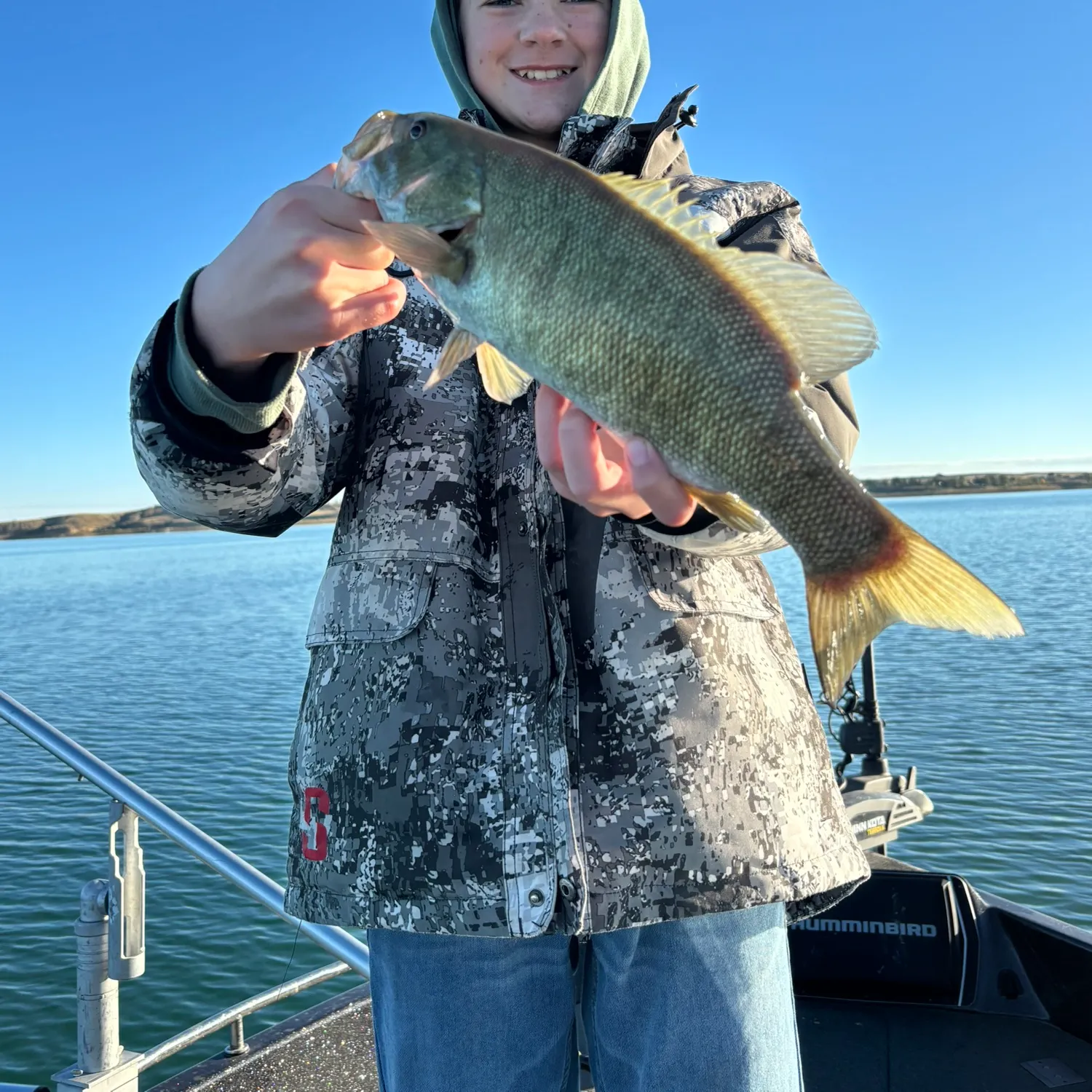 Smallmouth bass caught on Fishbrain