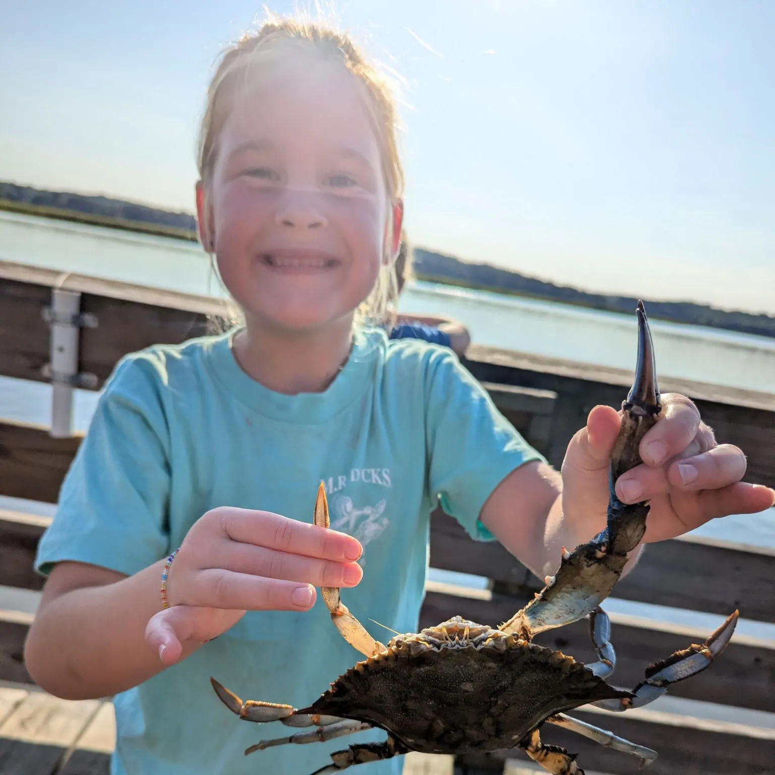 Blue crab caught on Fishbrain