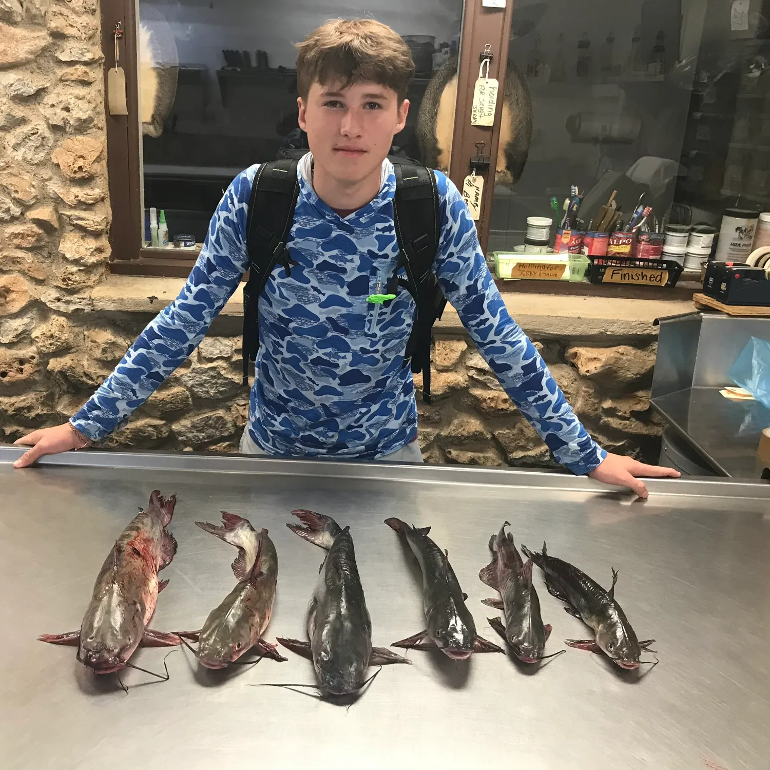 Blue catfish caught on Fishbrain