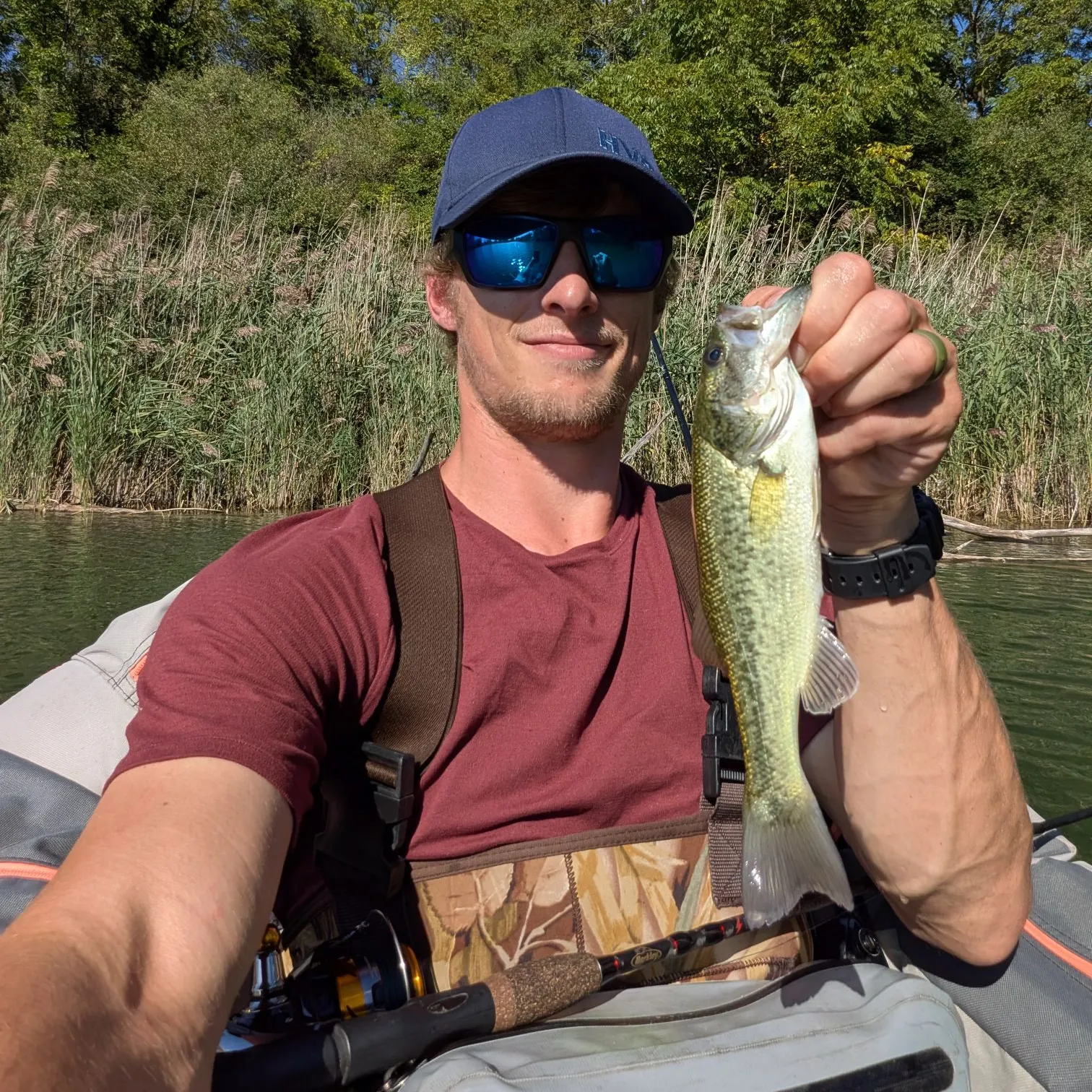 Largemouth bass caught on Fishbrain