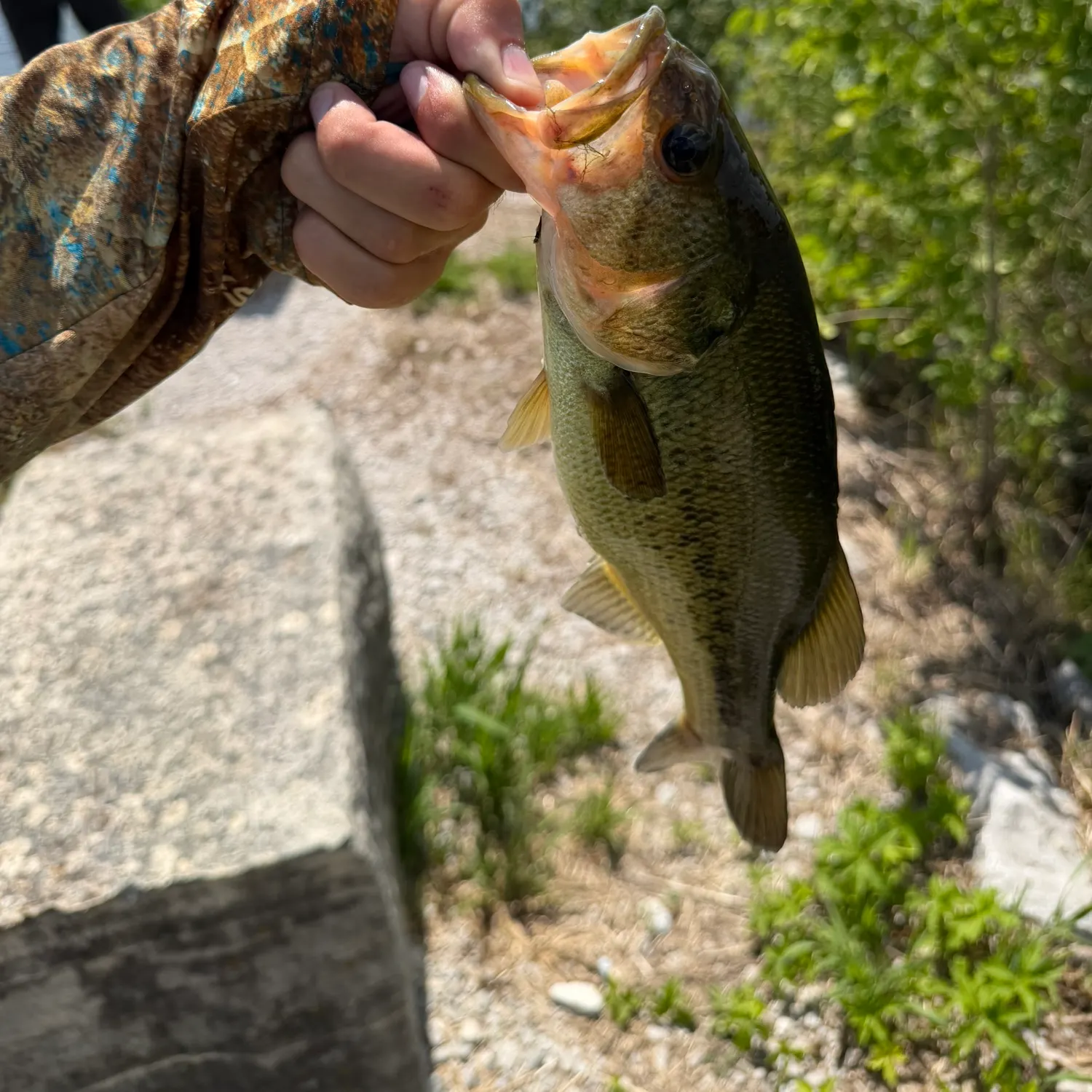 catch