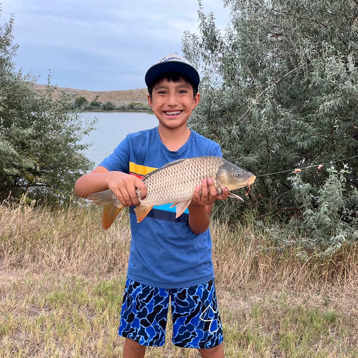 Common carp caught on Fishbrain