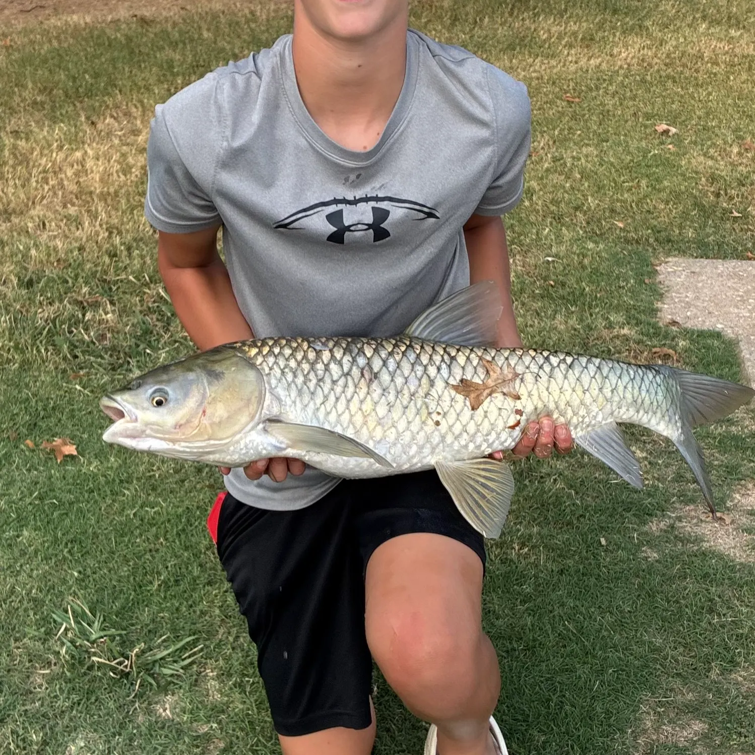 Grass carp caught on Fishbrain