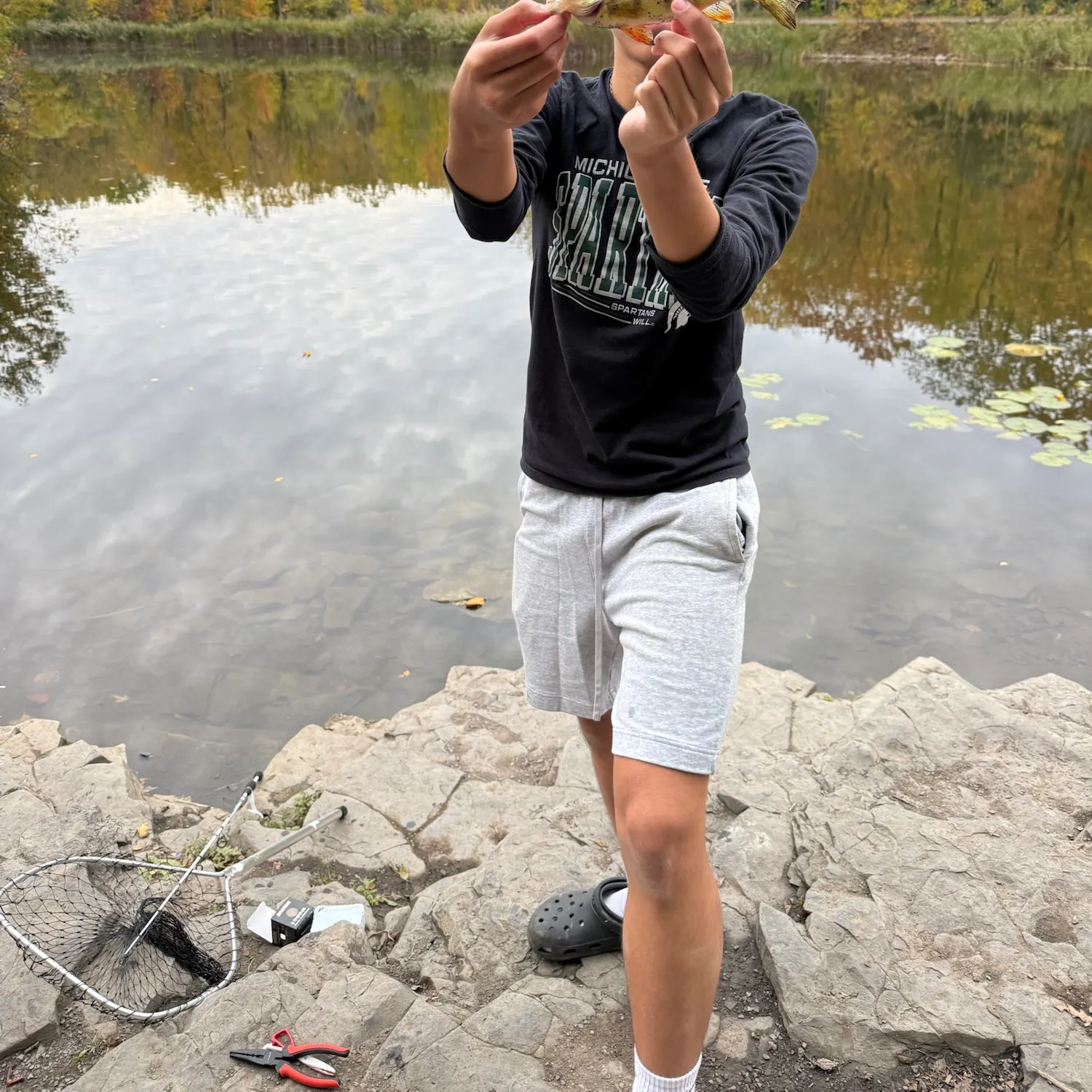 Yellow perch caught on Fishbrain