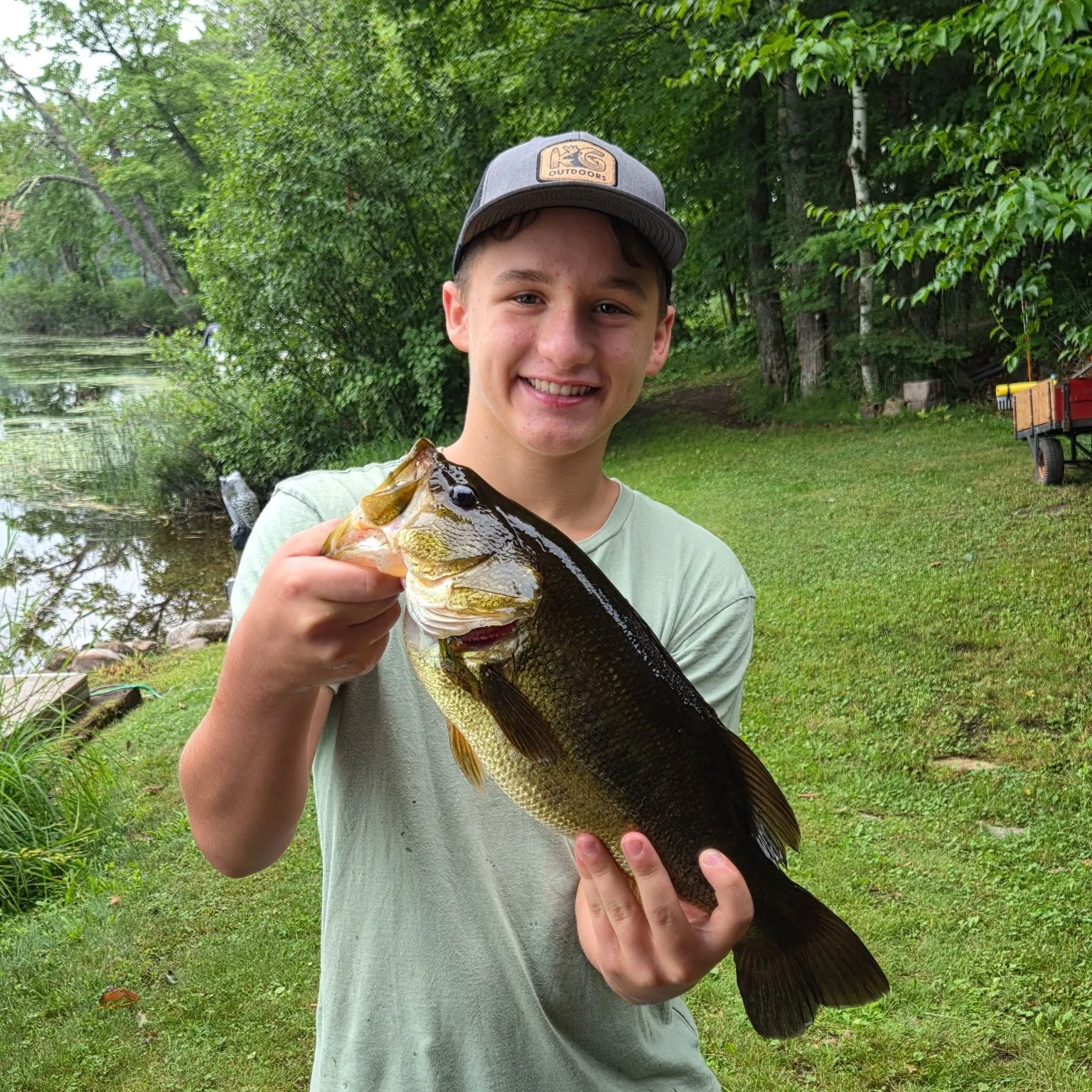 Largemouth bass caught on Fishbrain