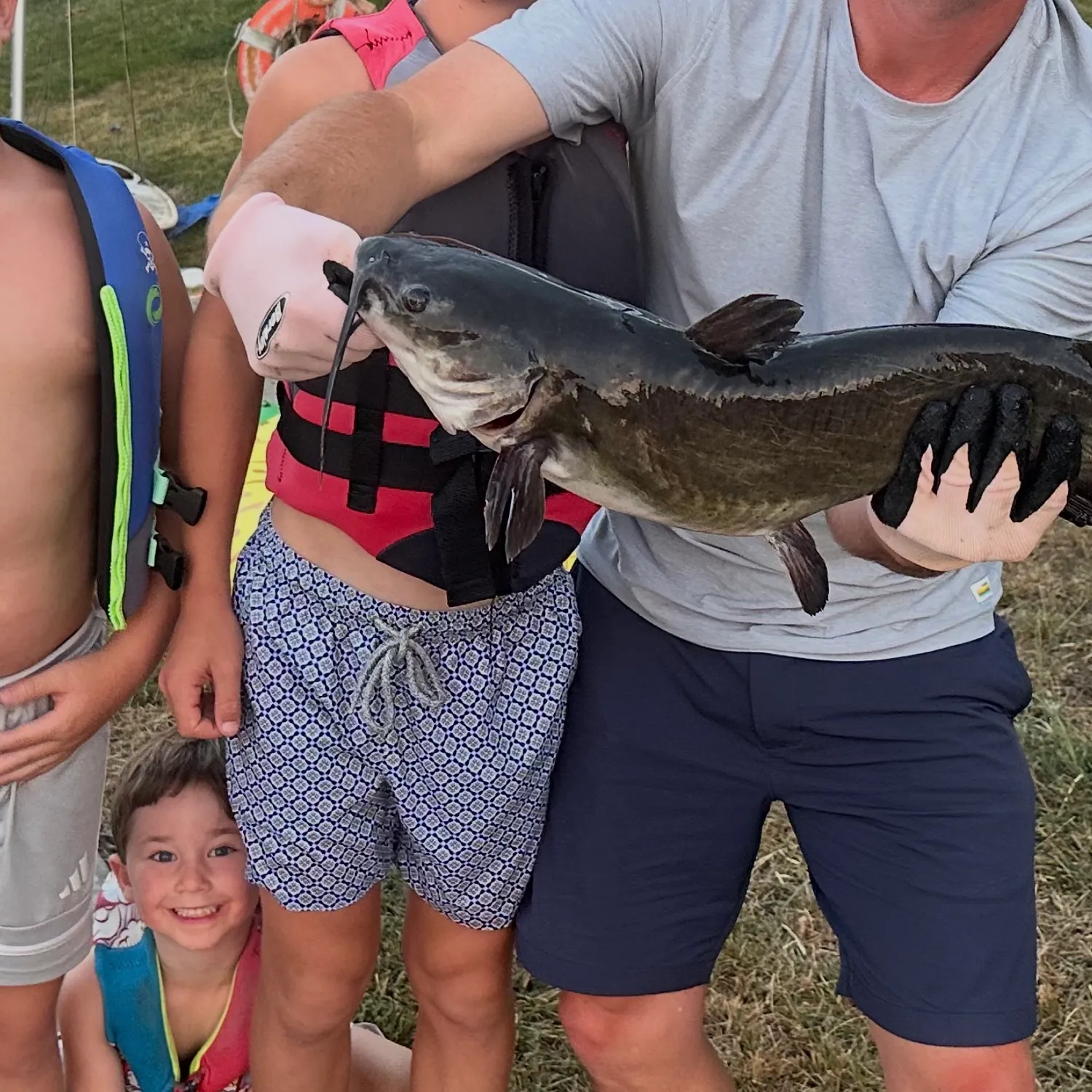 Channel catfish caught on Fishbrain