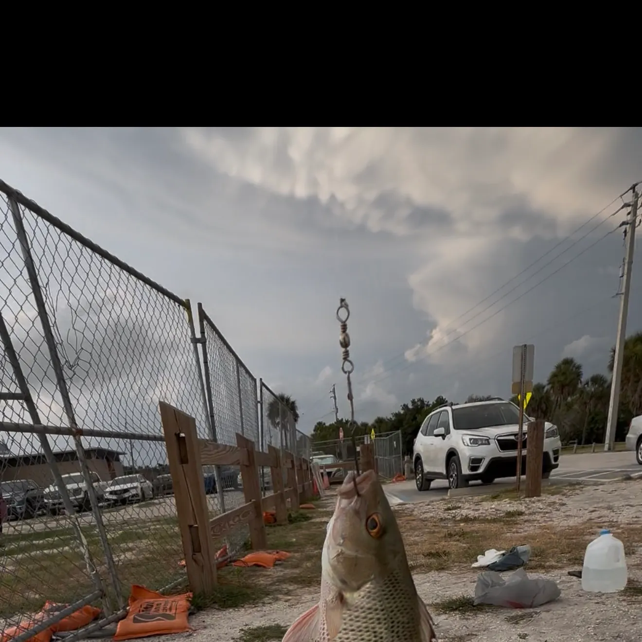 catch