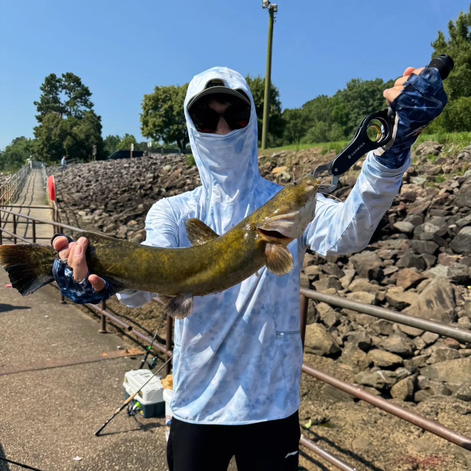 most liked catch image