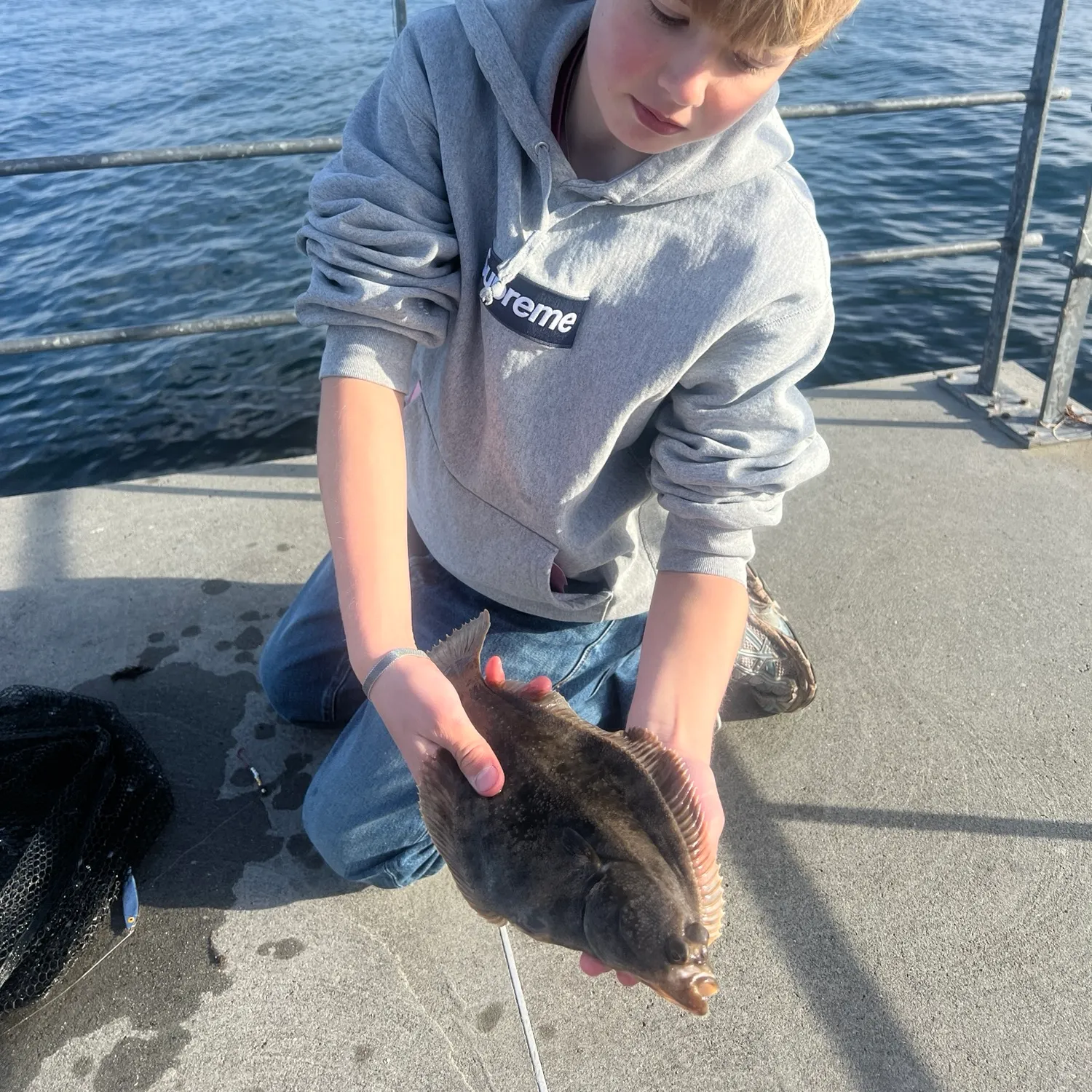 The most recent European flounder catches on Fishbrain