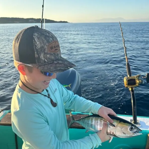 The most recent Blackfin tuna catches on Fishbrain