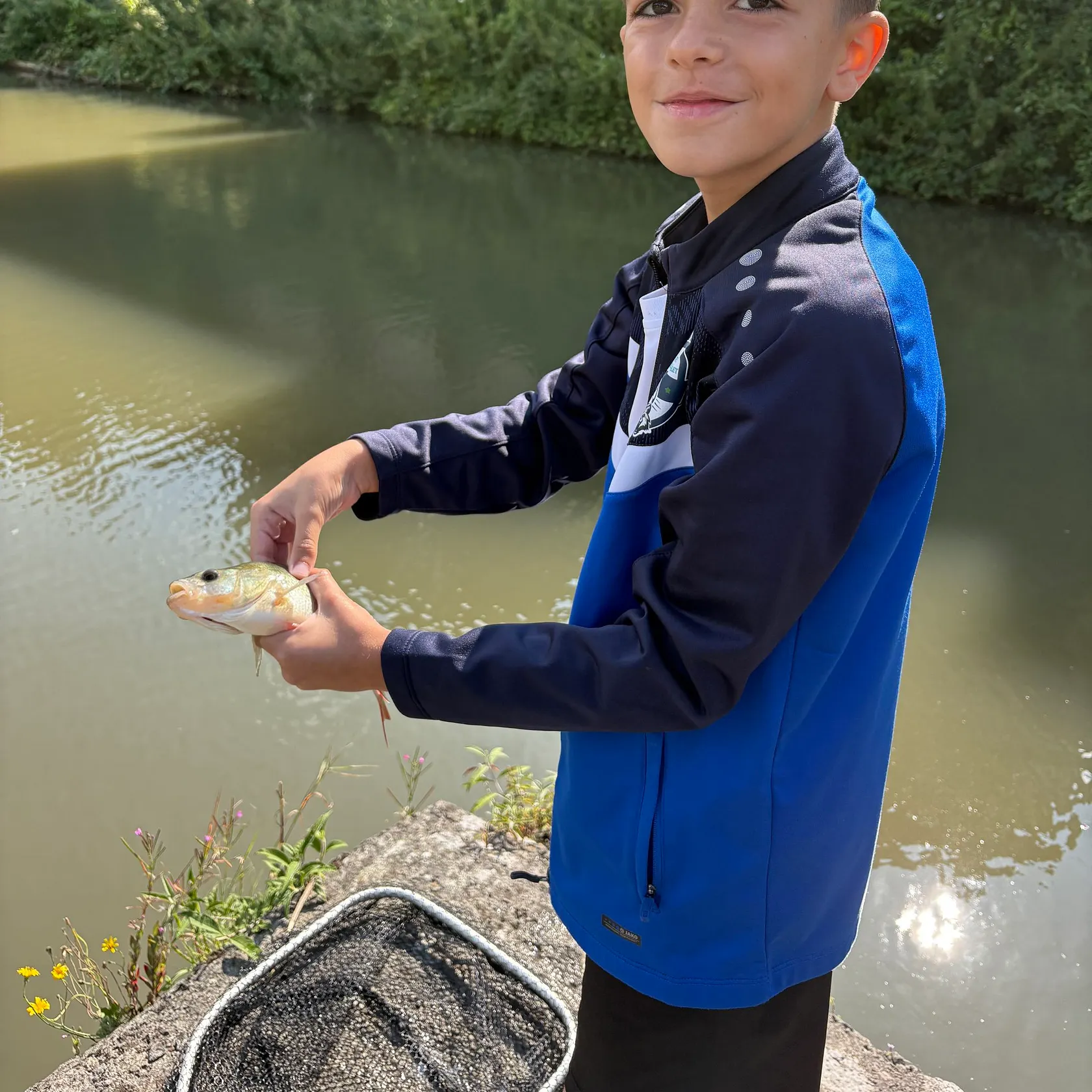 European perch caught on Fishbrain