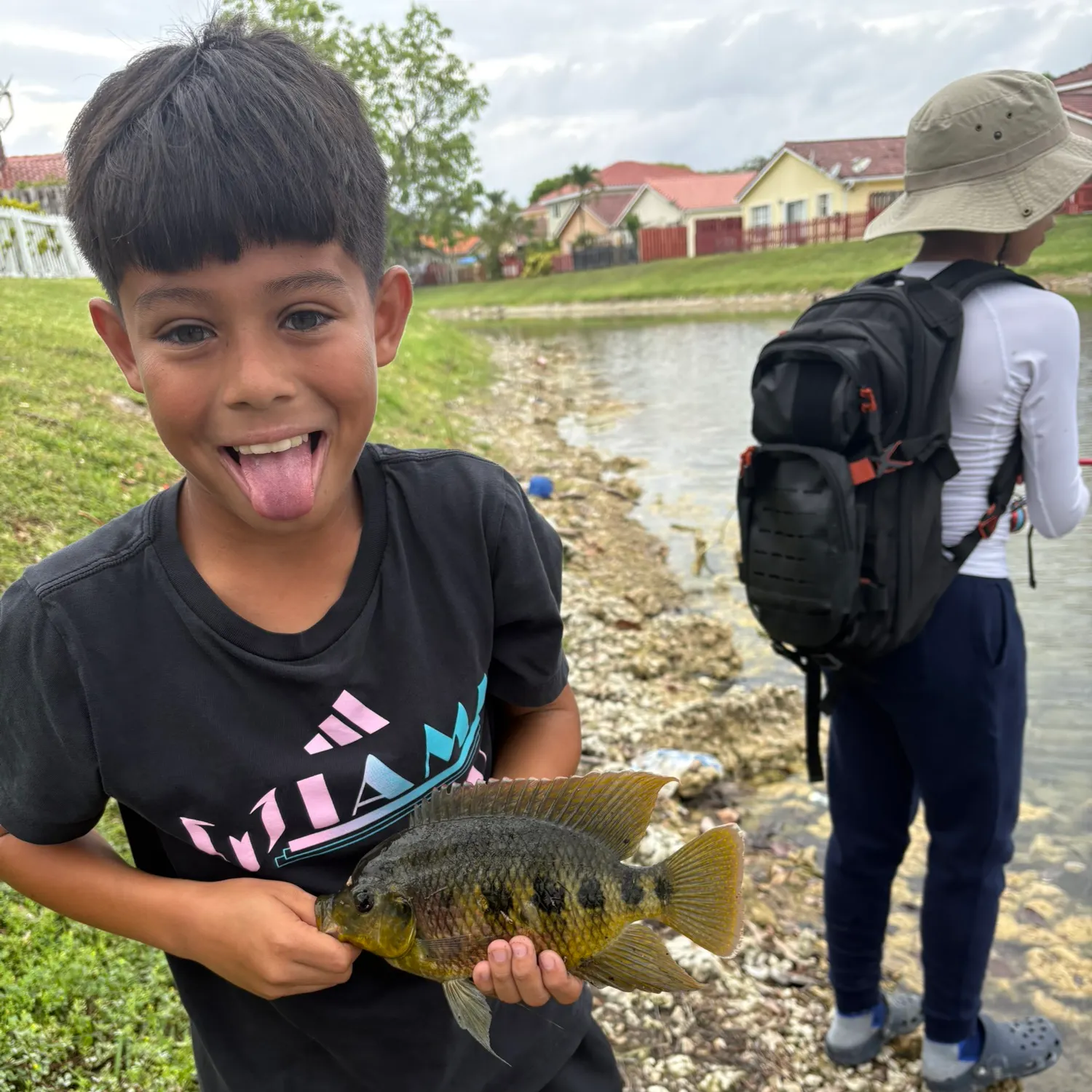The most recent Spotted tilapia catches on Fishbrain