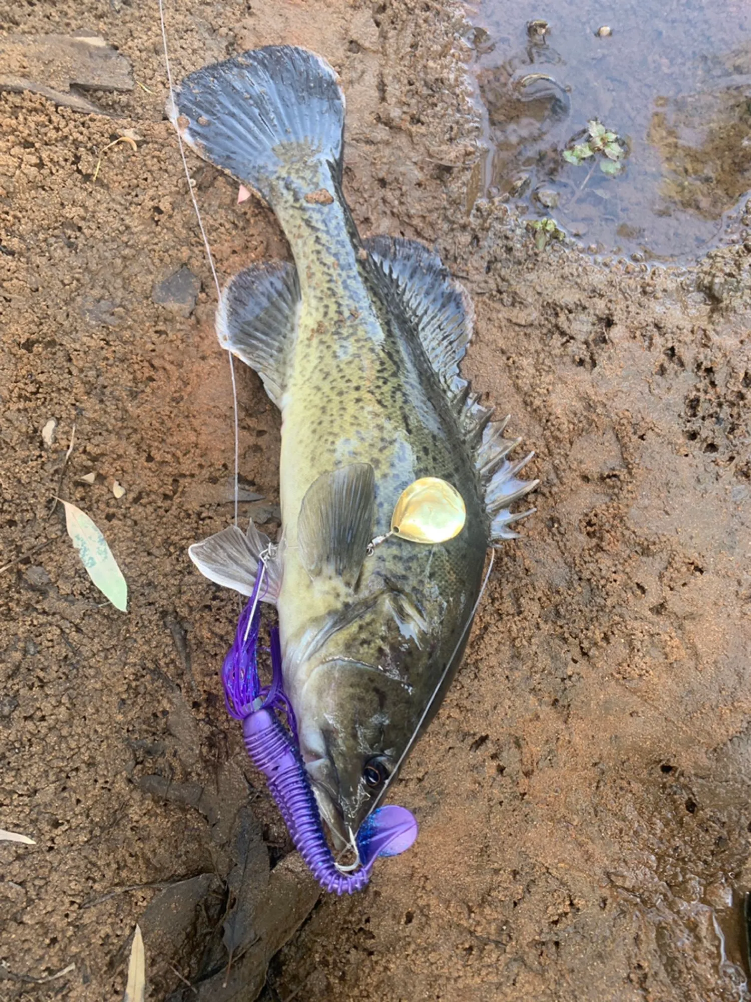 Post image from zhoward9400