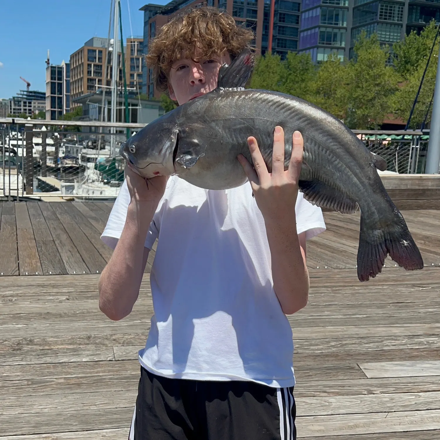catch