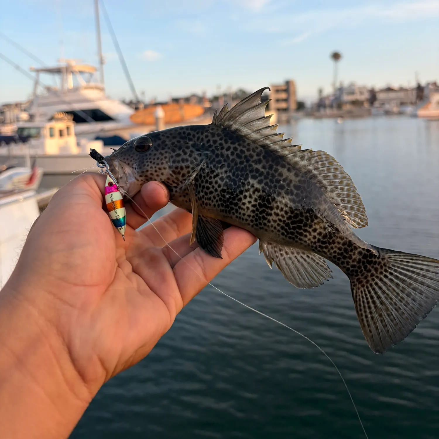 catch