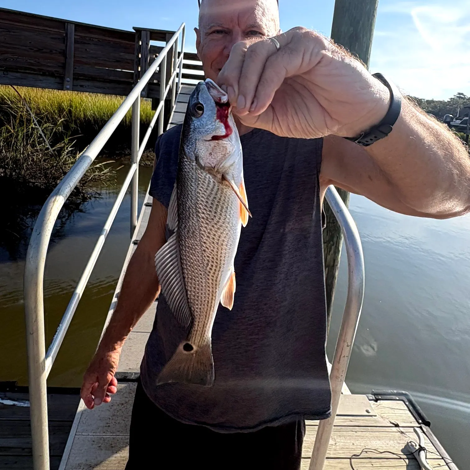 Red drum caught on Fishbrain