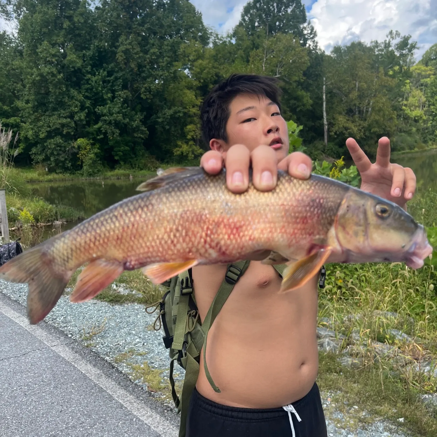 Common carp caught on Fishbrain
