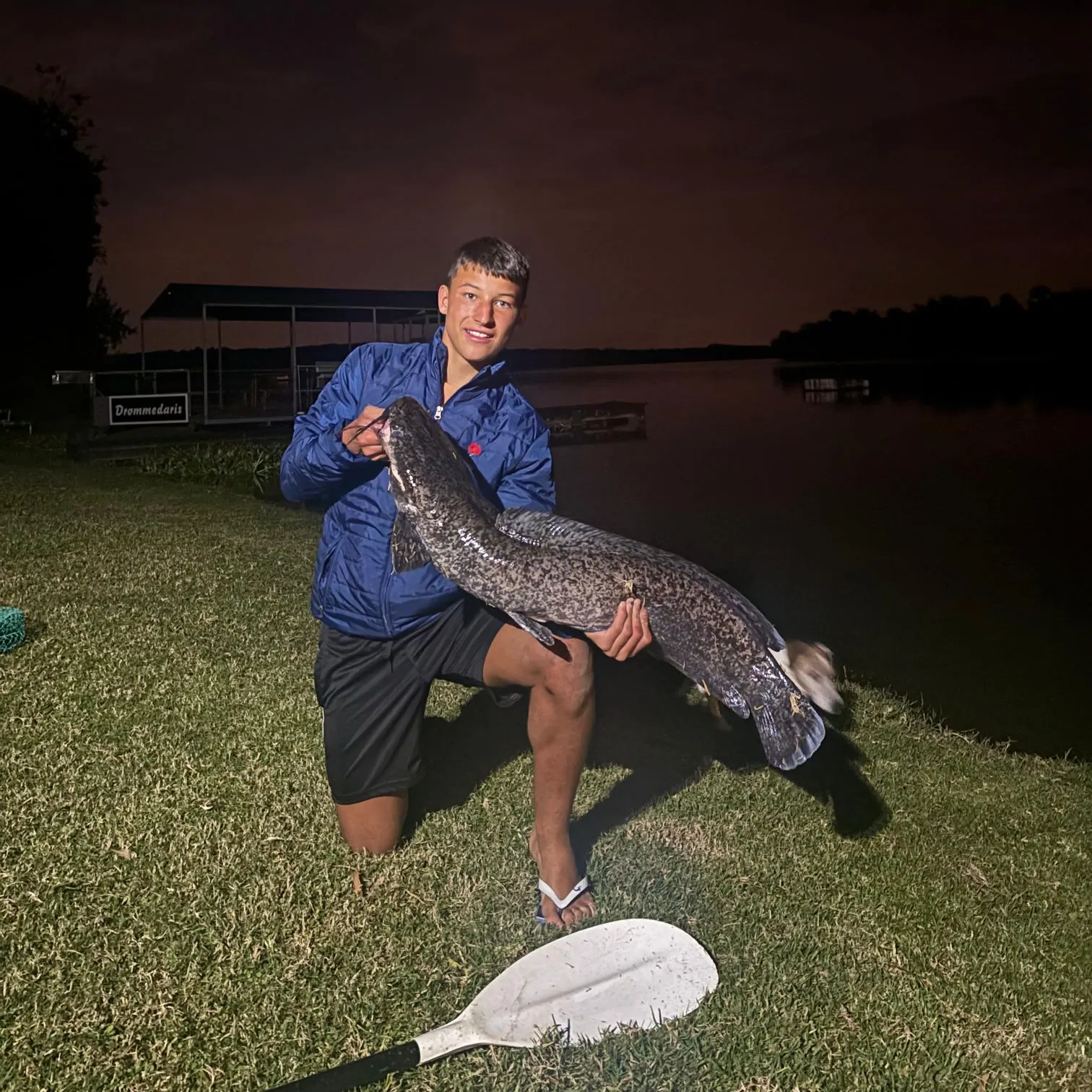 The most recent North African catfish catches on Fishbrain