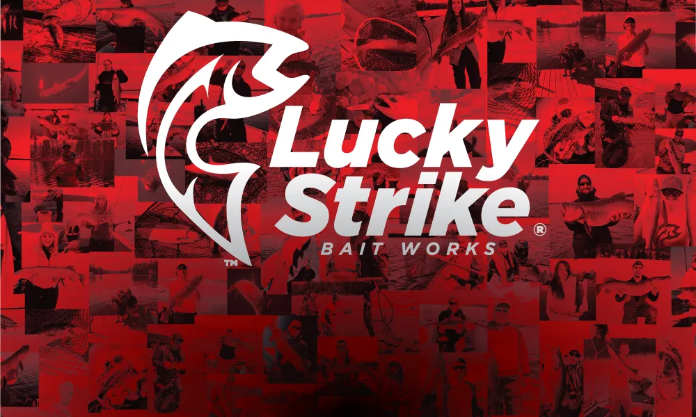 promo image