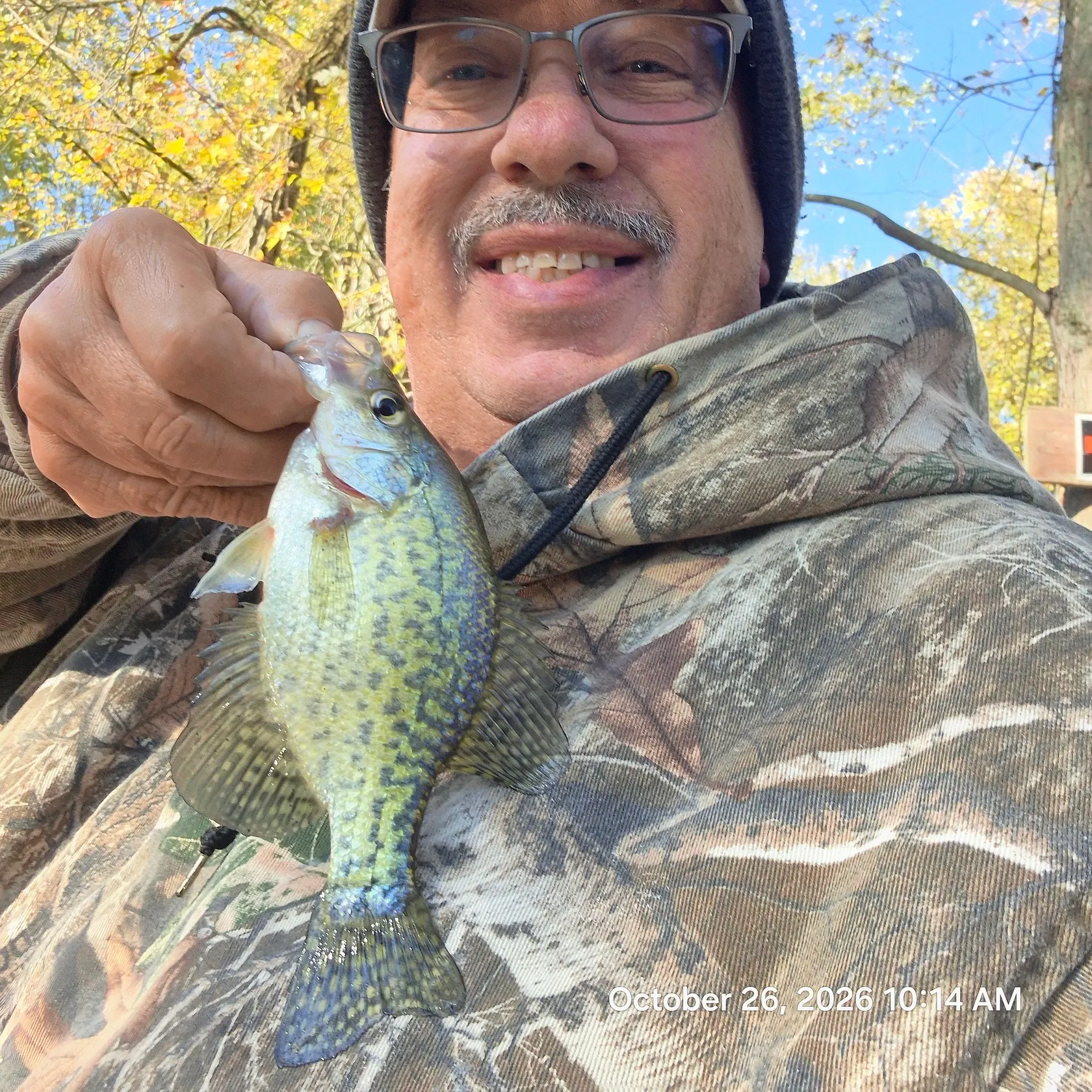 Black crappie caught on Fishbrain