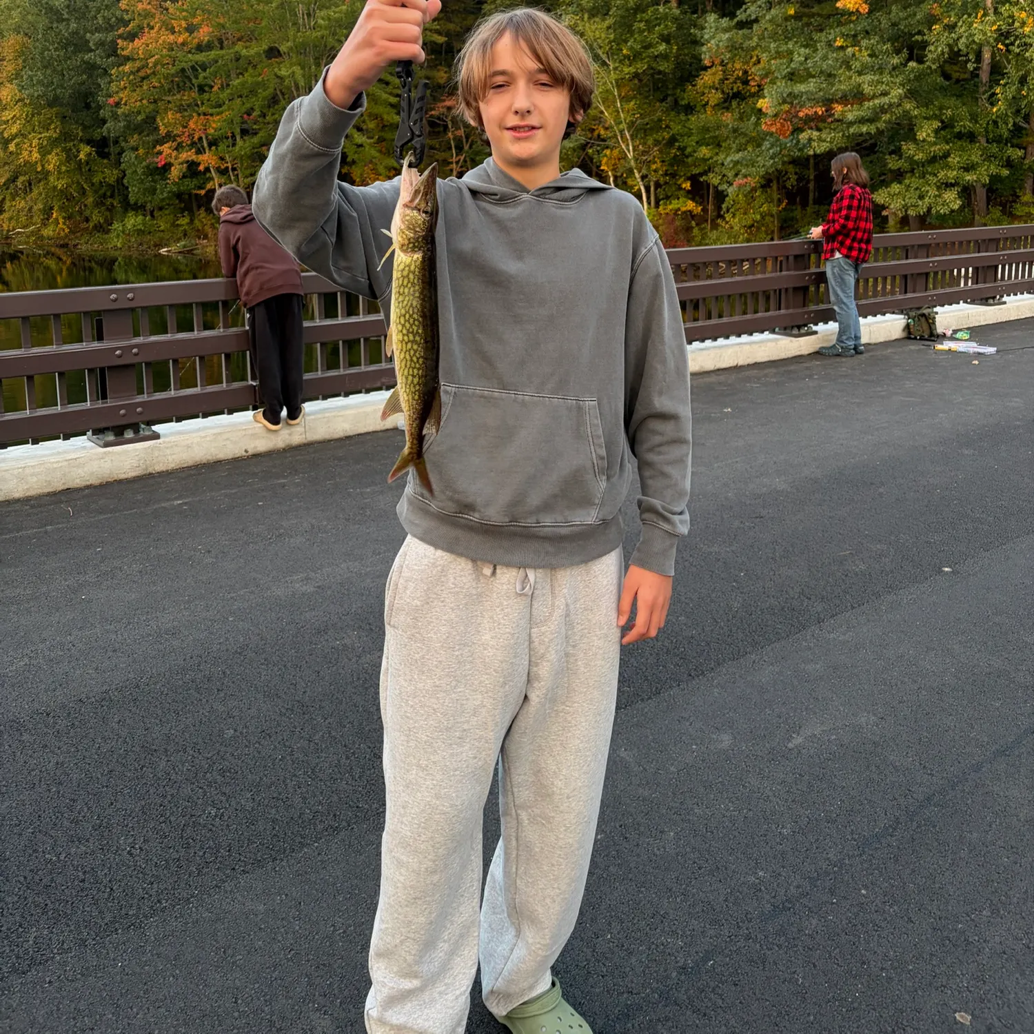 The most recent Chain pickerel catches on Fishbrain