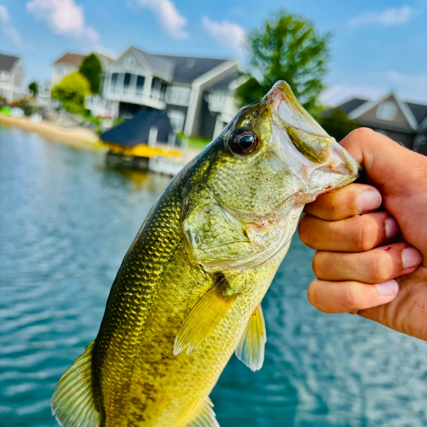 catch
