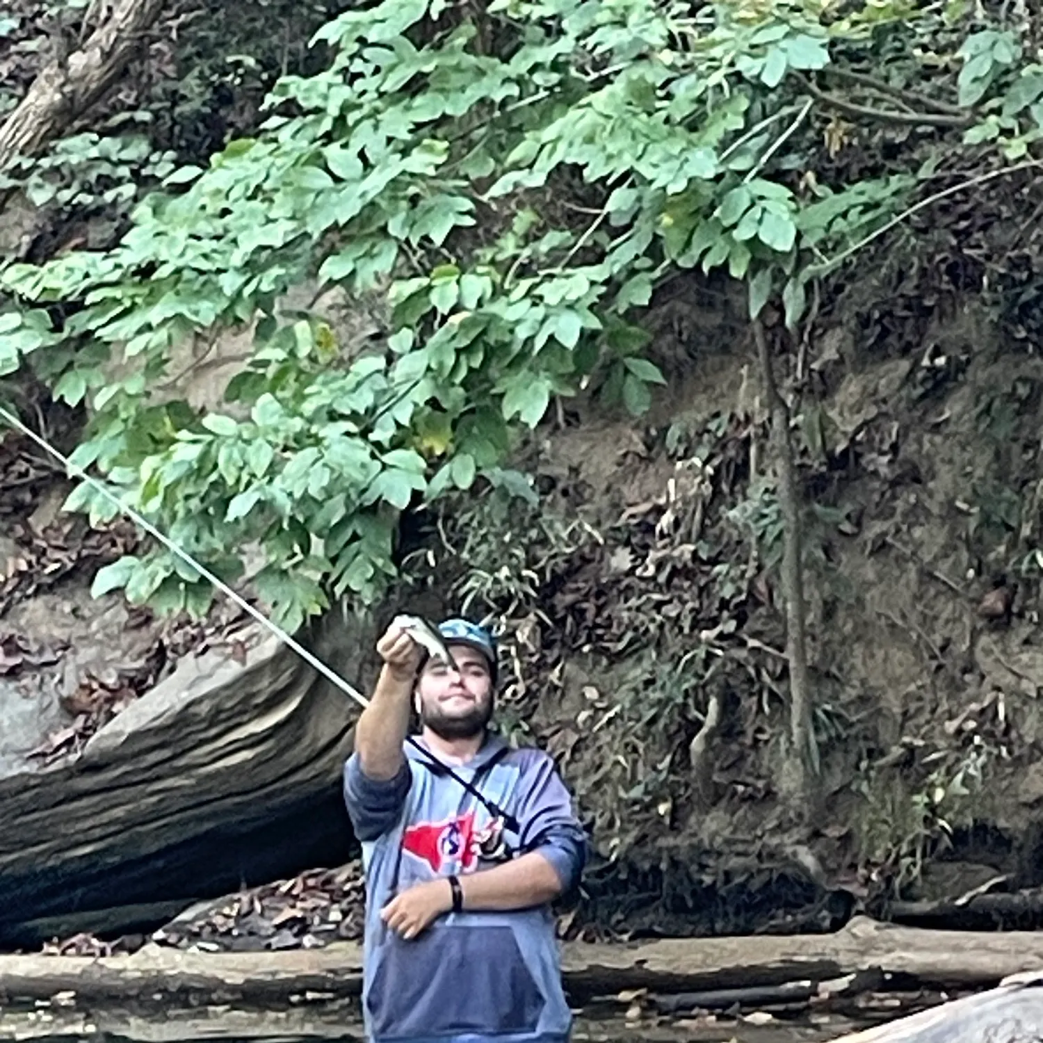 Redeye bass caught on Fishbrain