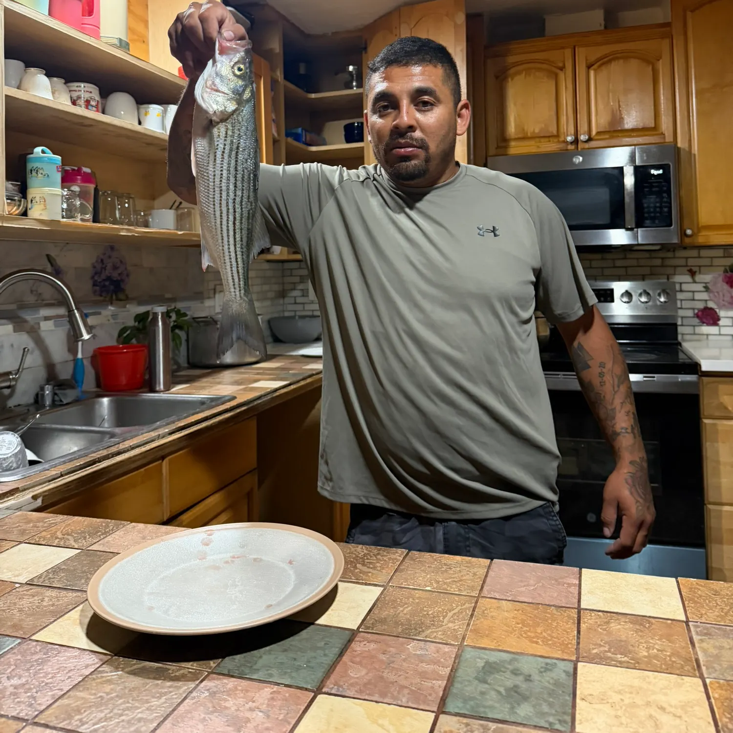 Striped bass caught on Fishbrain