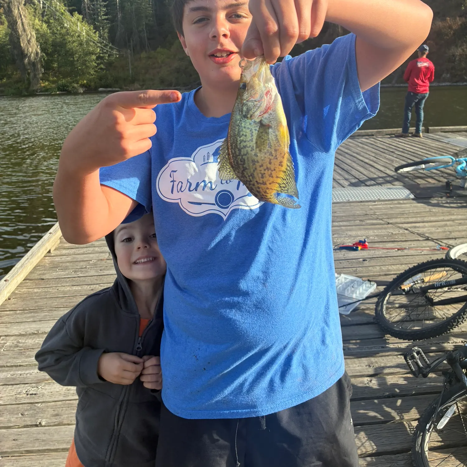 Black crappie caught on Fishbrain