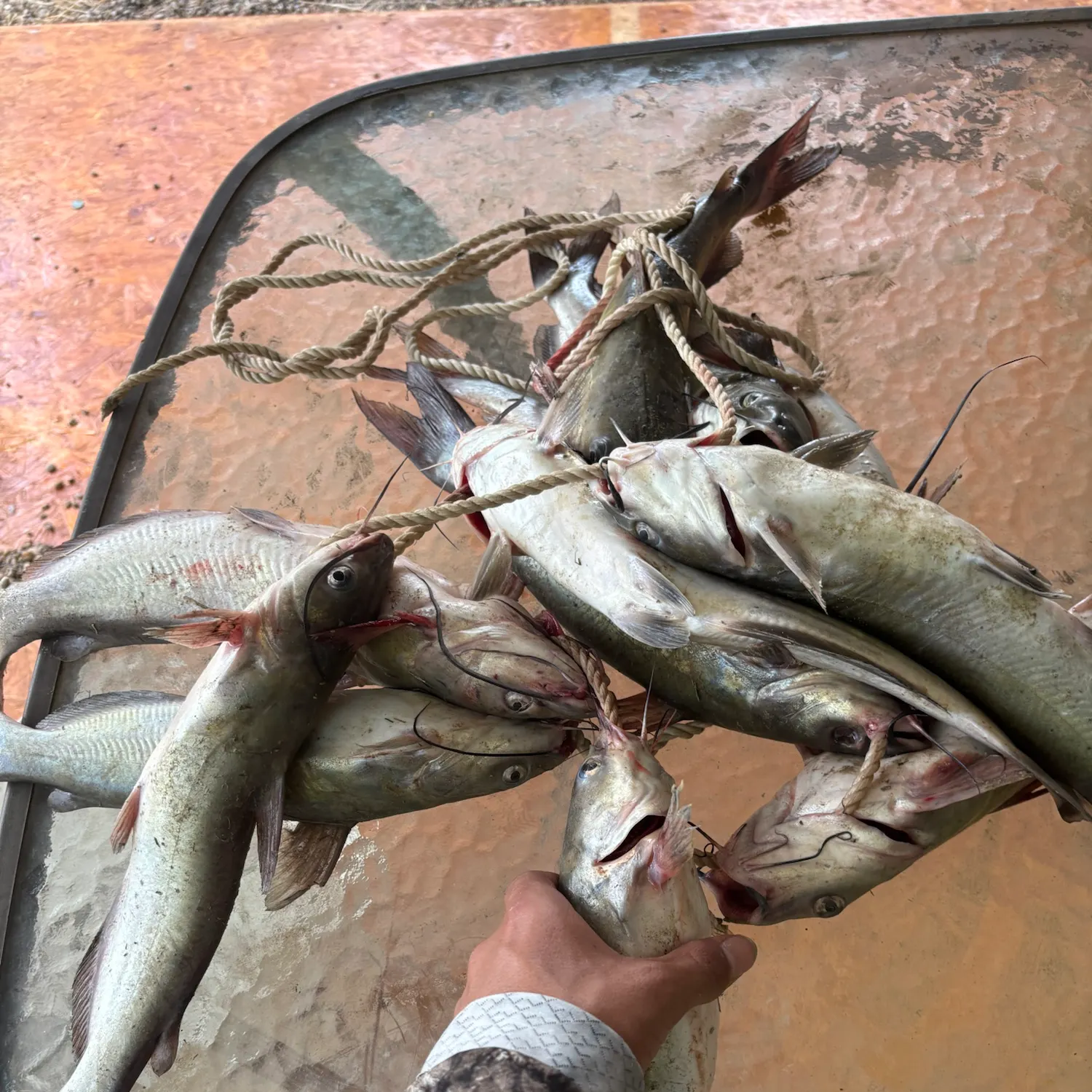 catch