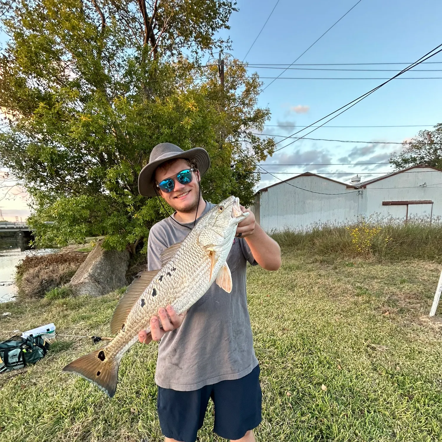 The most recent Red drum catches on Fishbrain