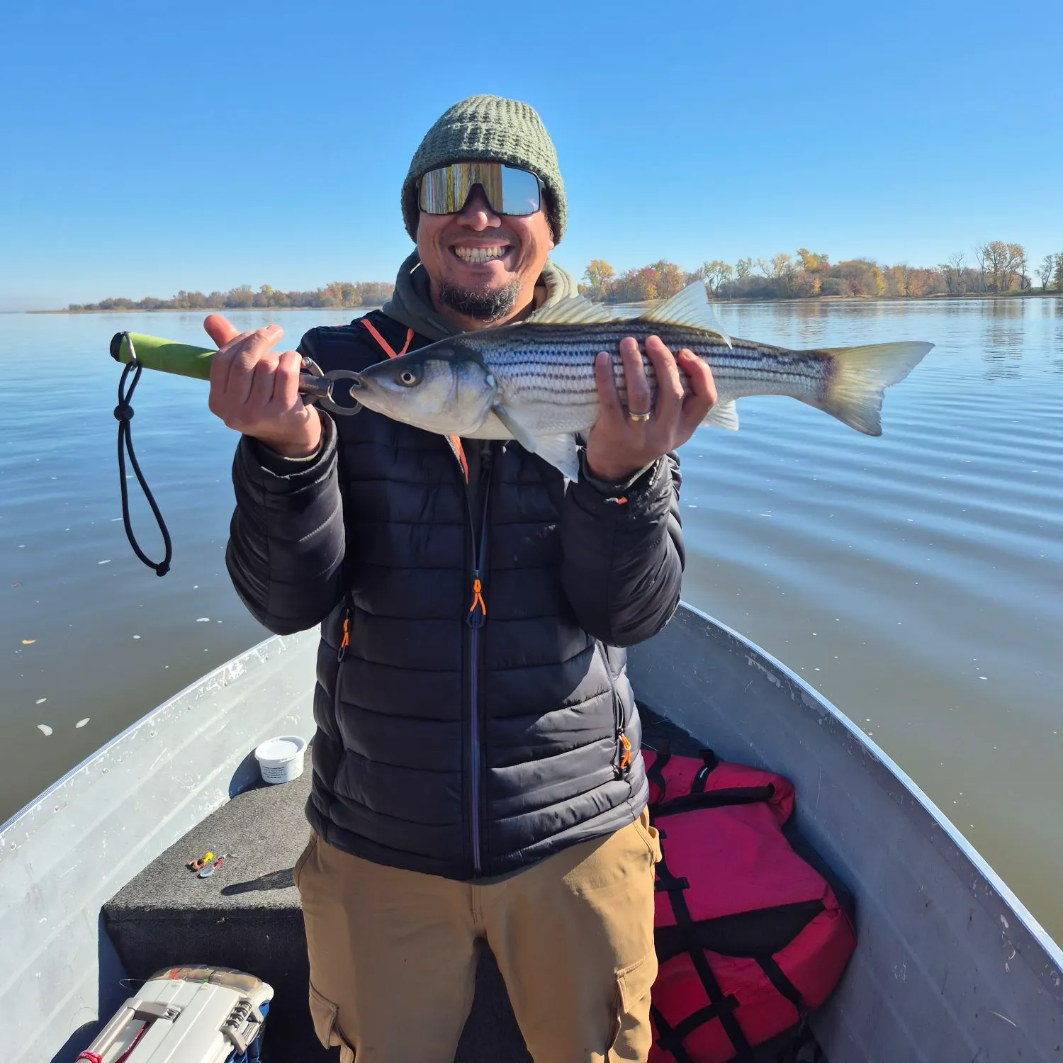 The most recent Striped bass catches on Fishbrain
