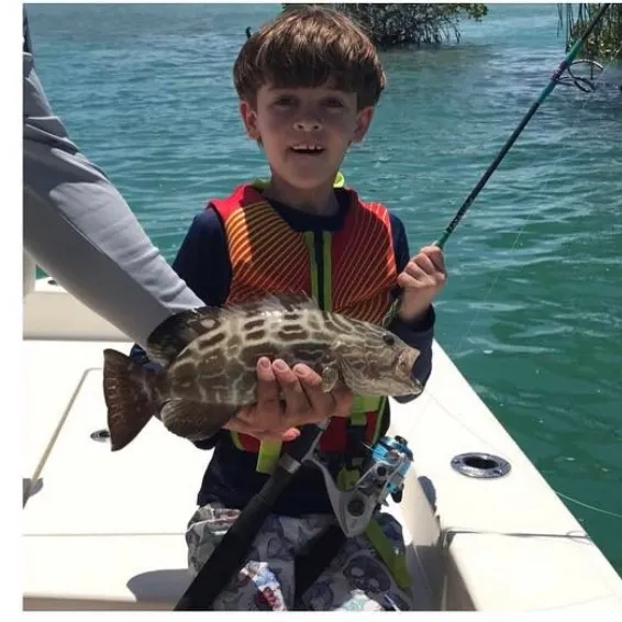 The most recent Black grouper catches on Fishbrain
