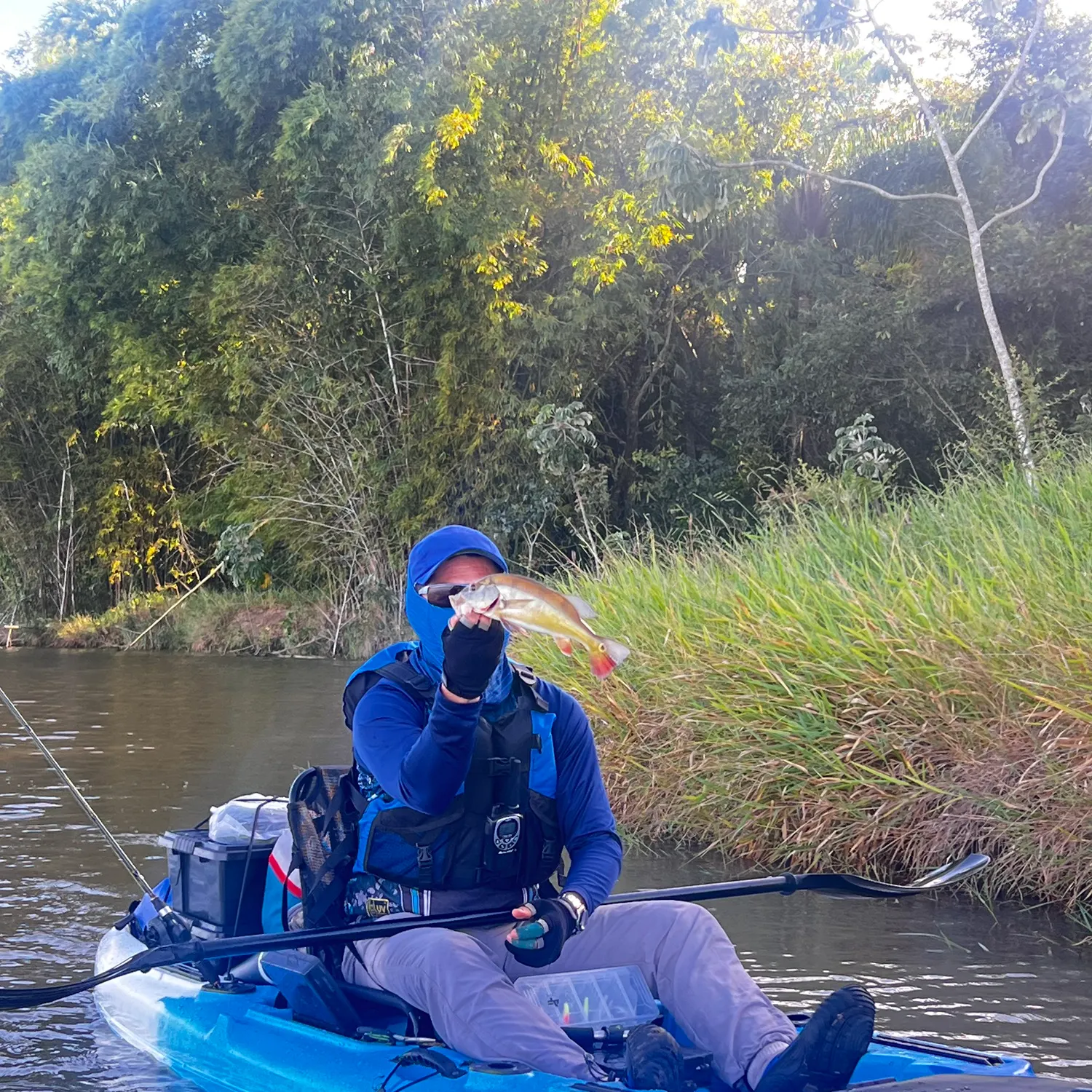 The most recent Kelberi peacock bass catches on Fishbrain