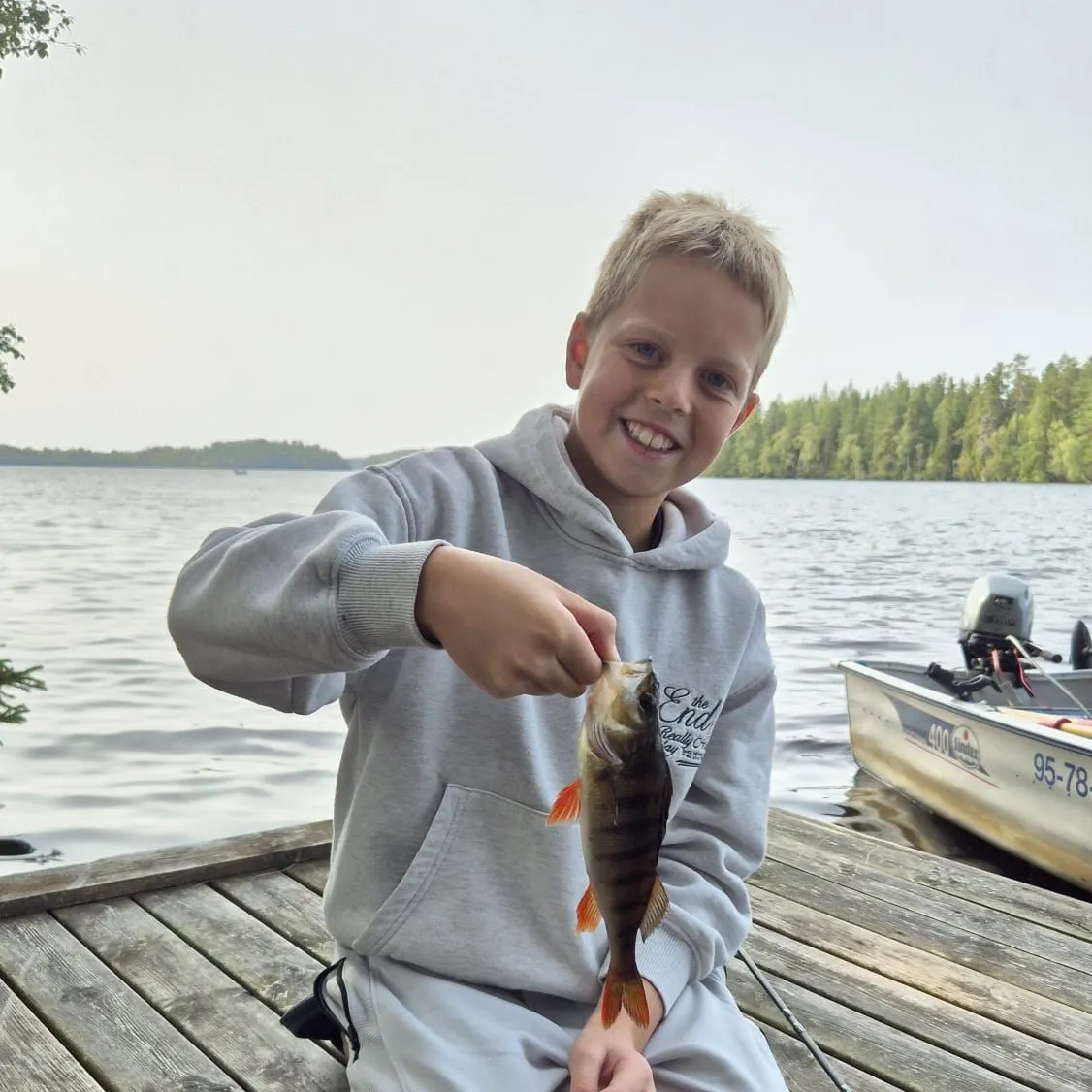 European perch caught on Fishbrain